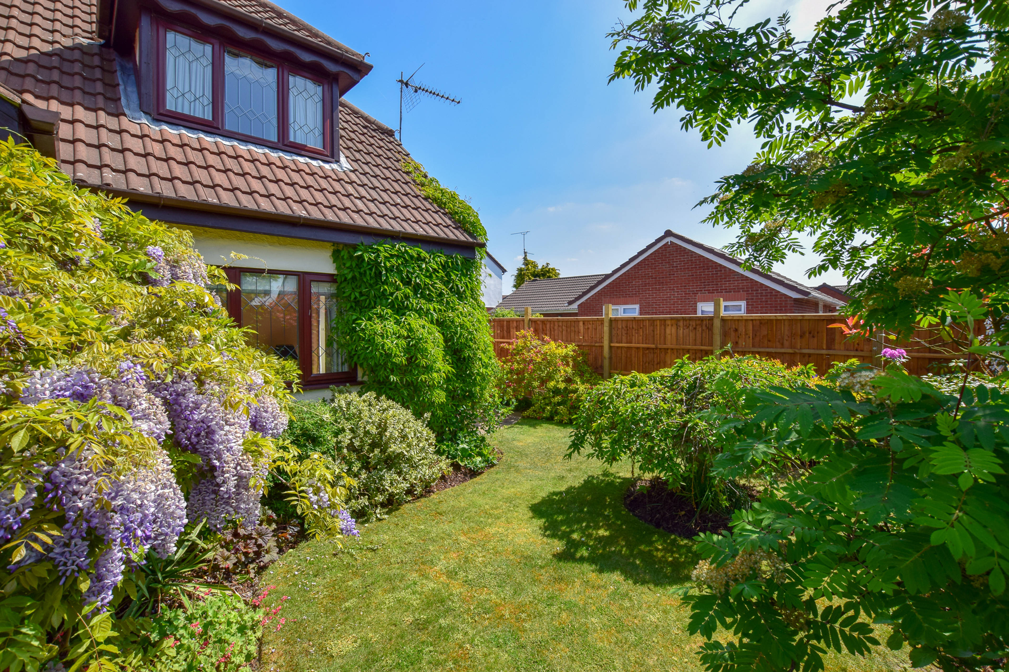 Front Garden