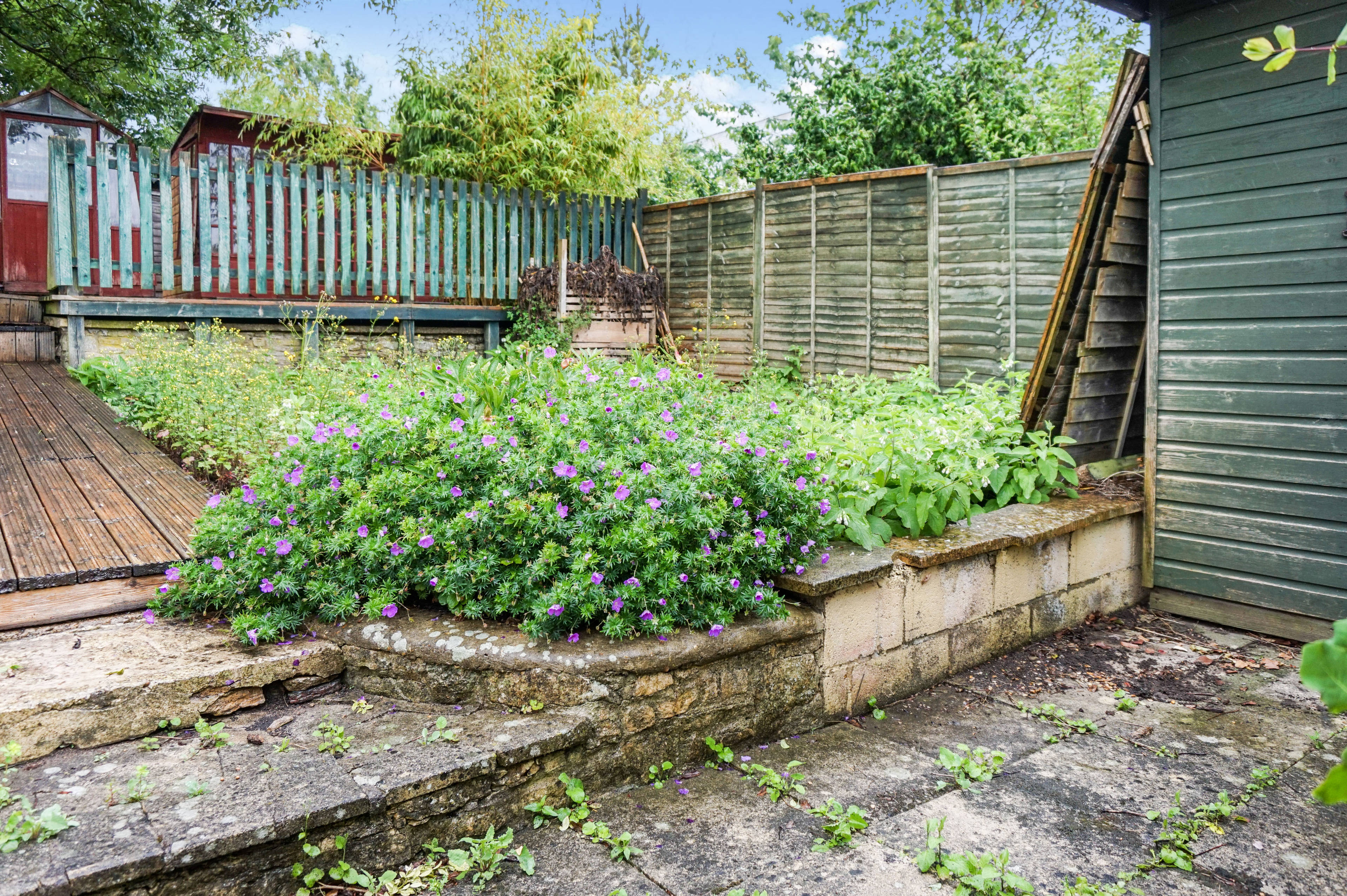 Garden