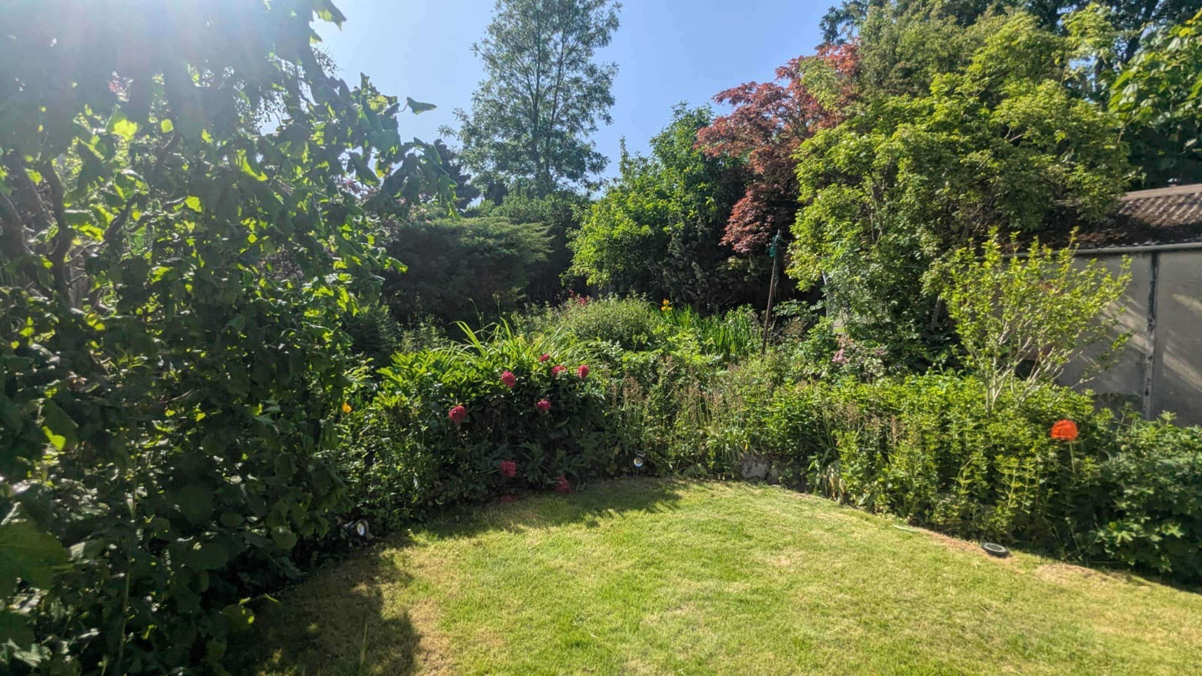Garden Room