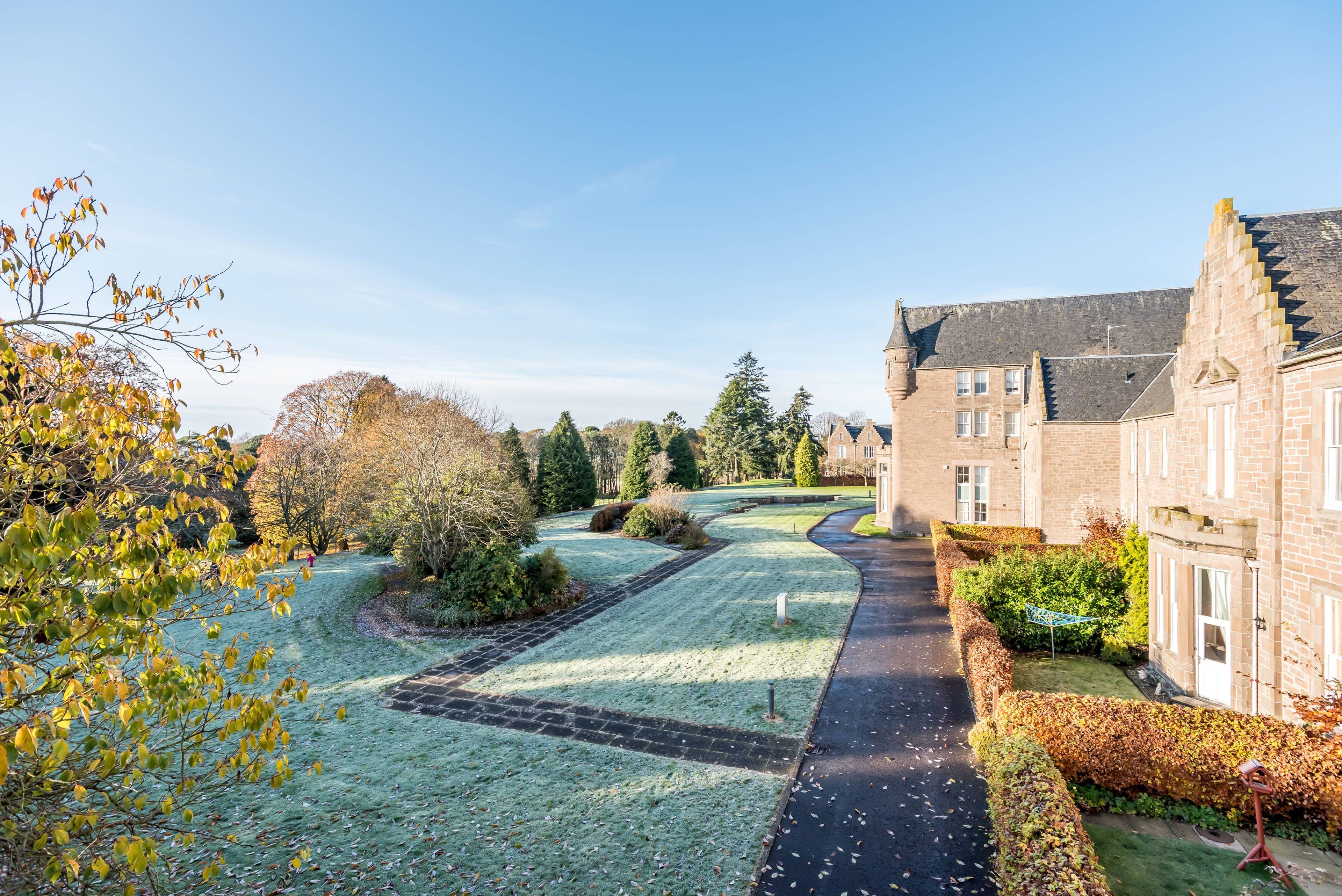 Grounds