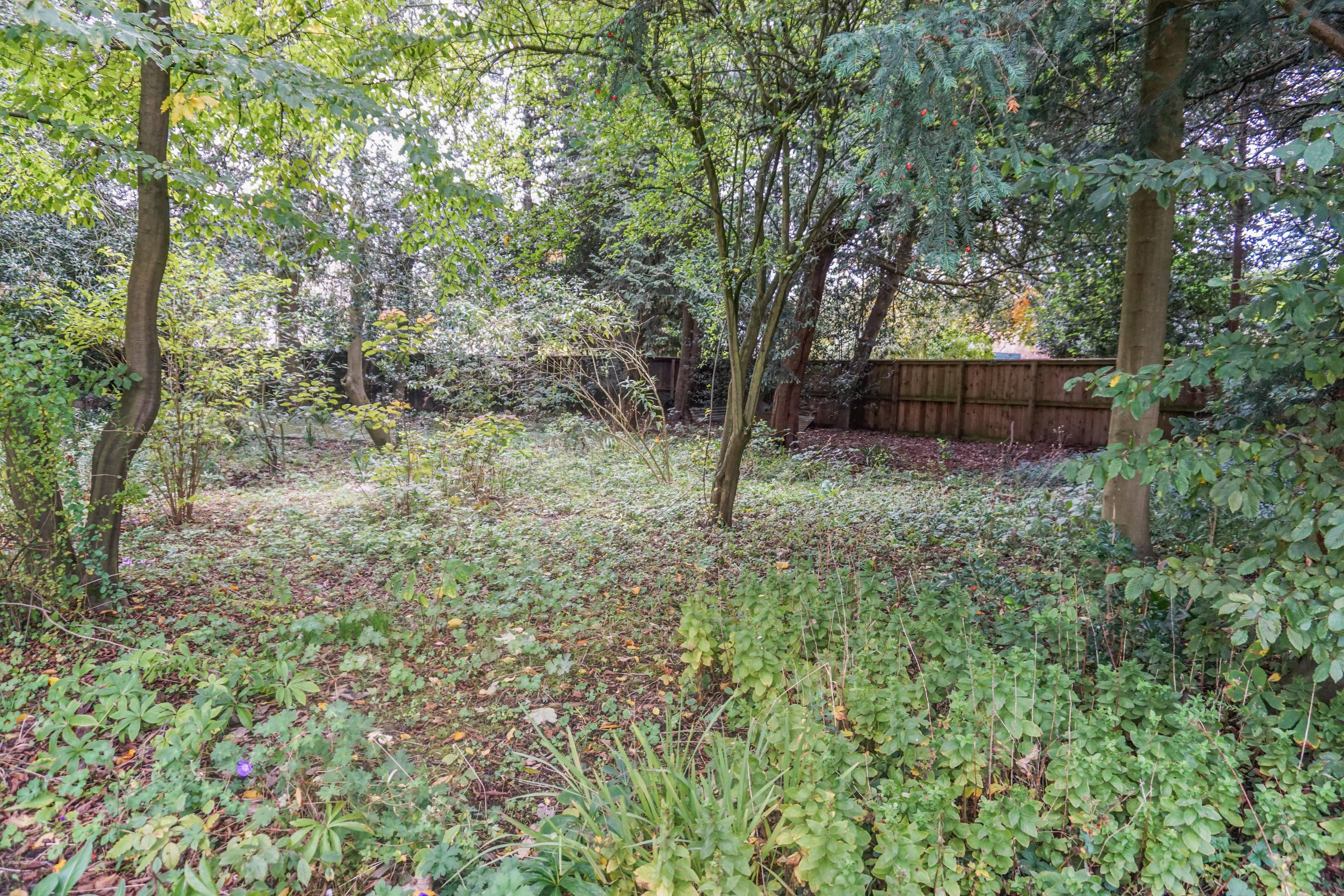 Upper Garden