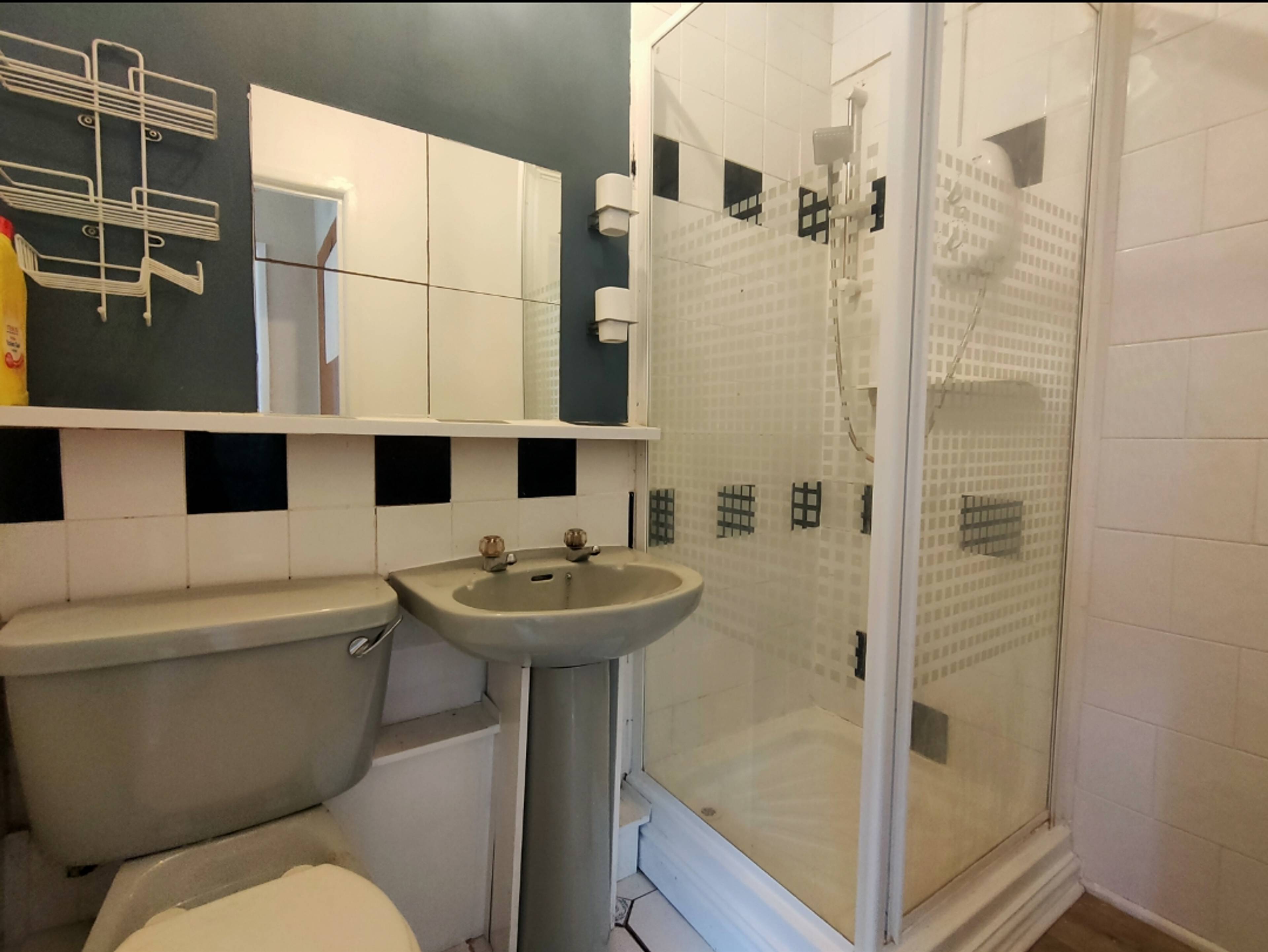 Downstairs Shower