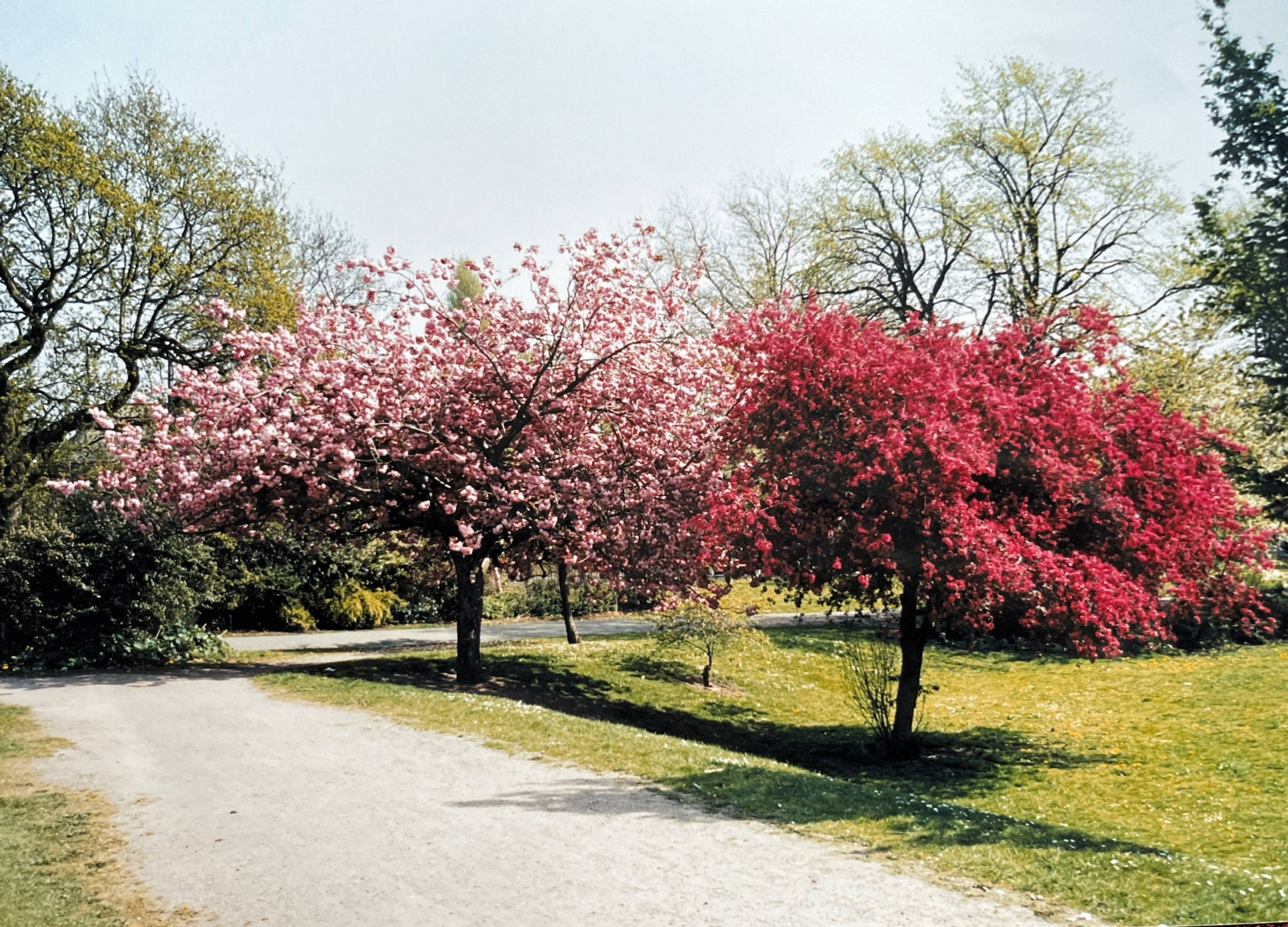 Nearby Park