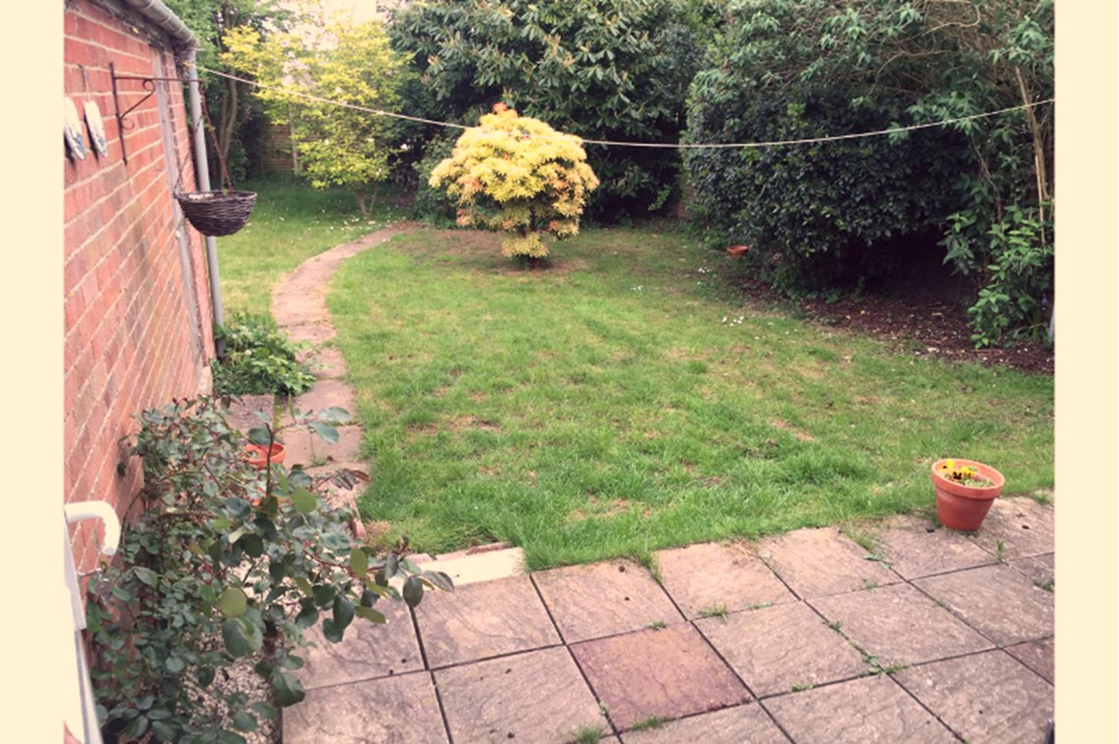 garden