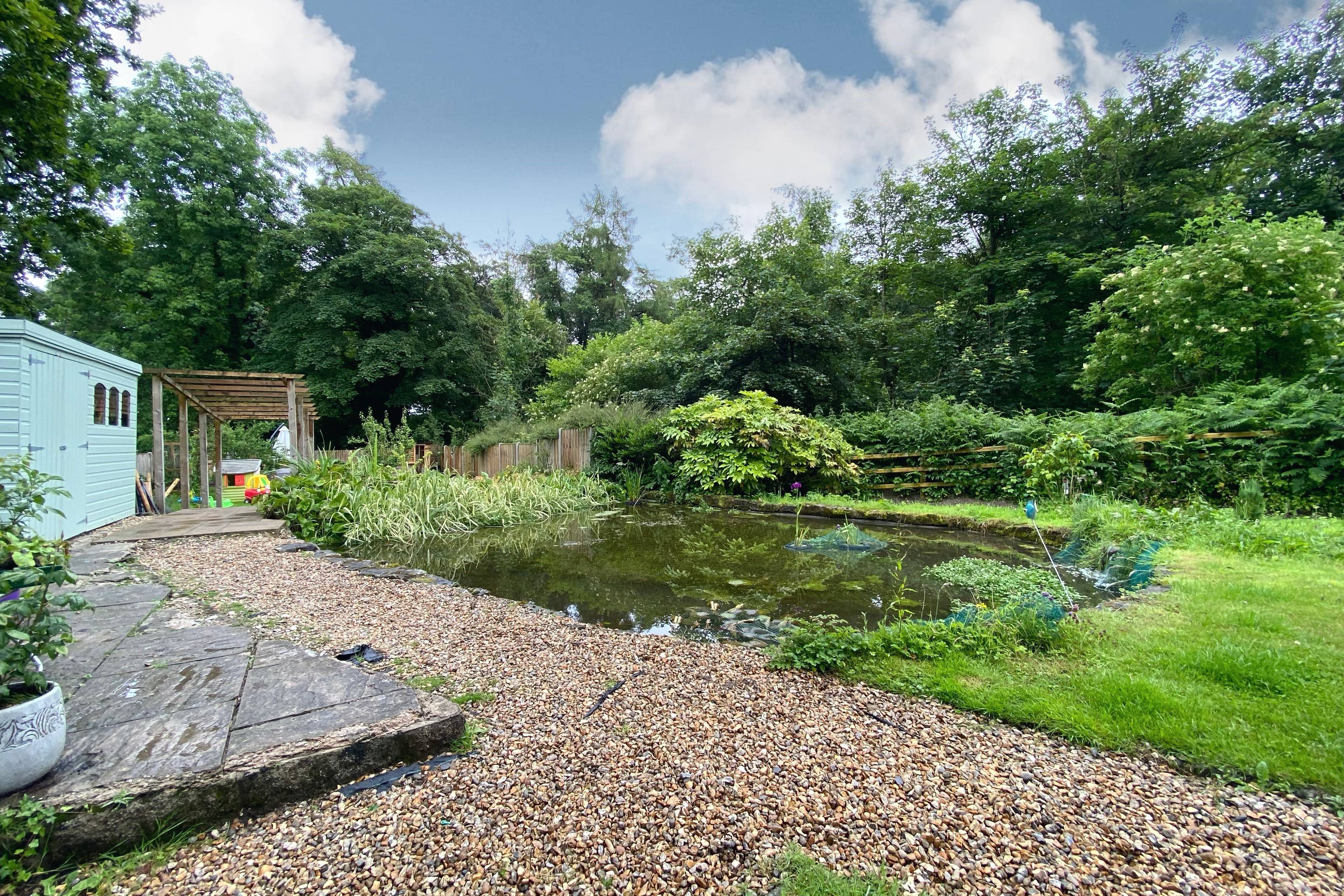 Pond
