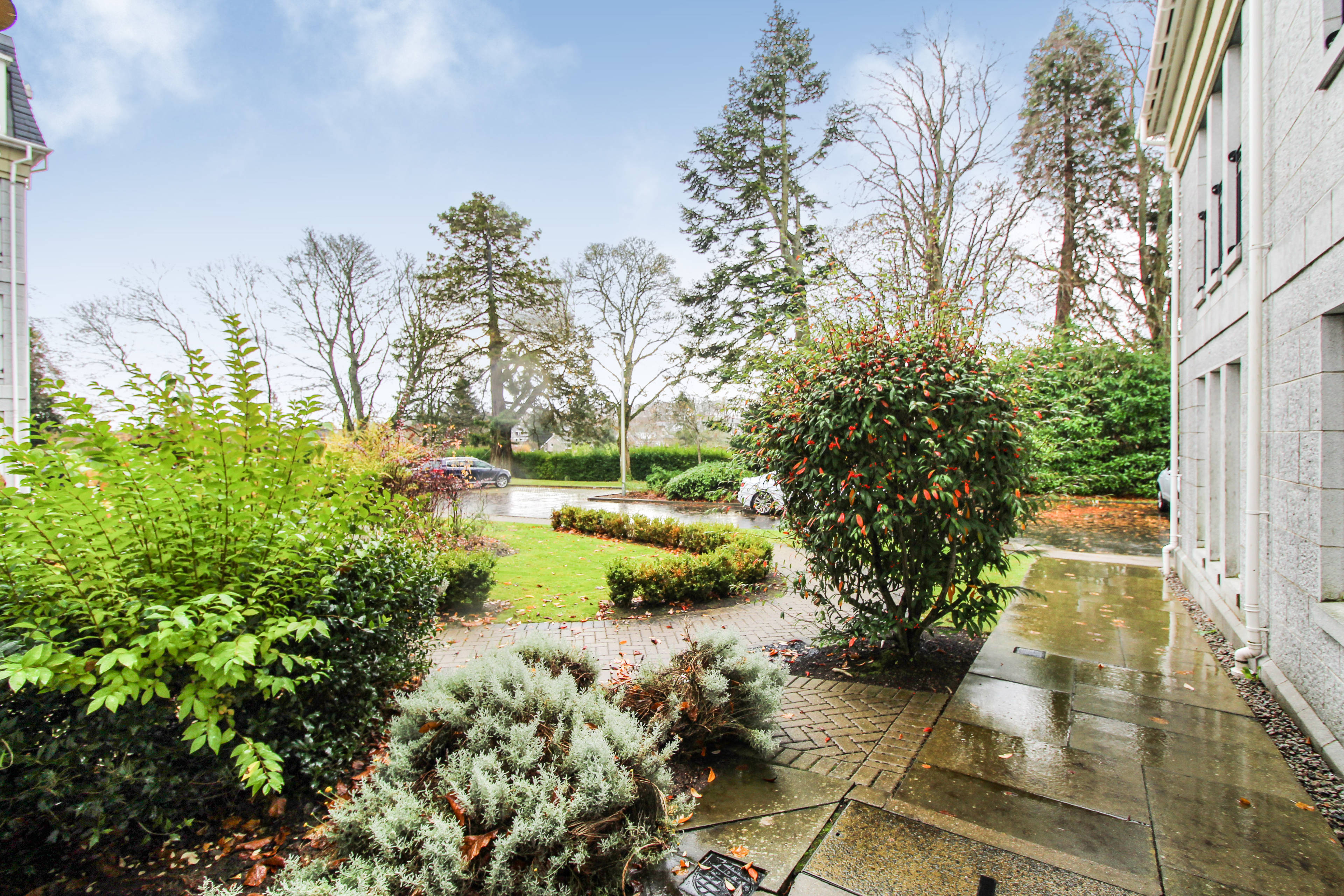 Communal Gardens