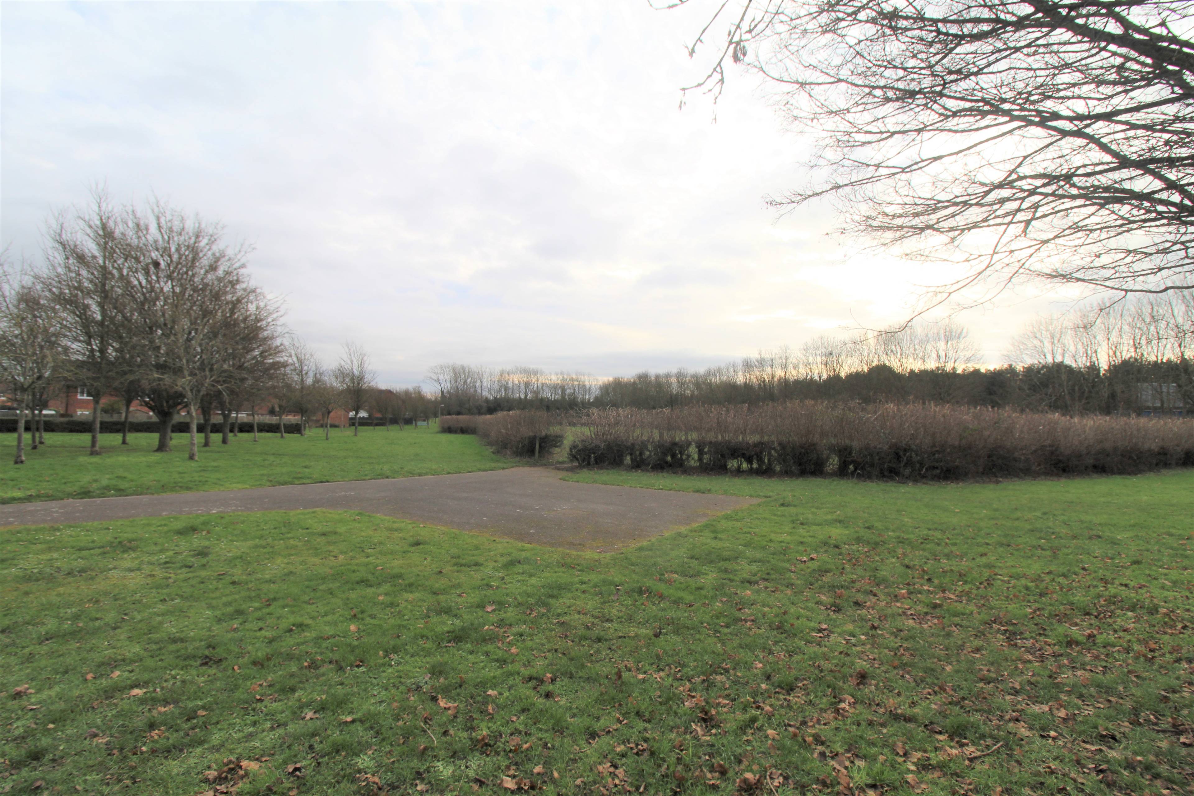 Local Area