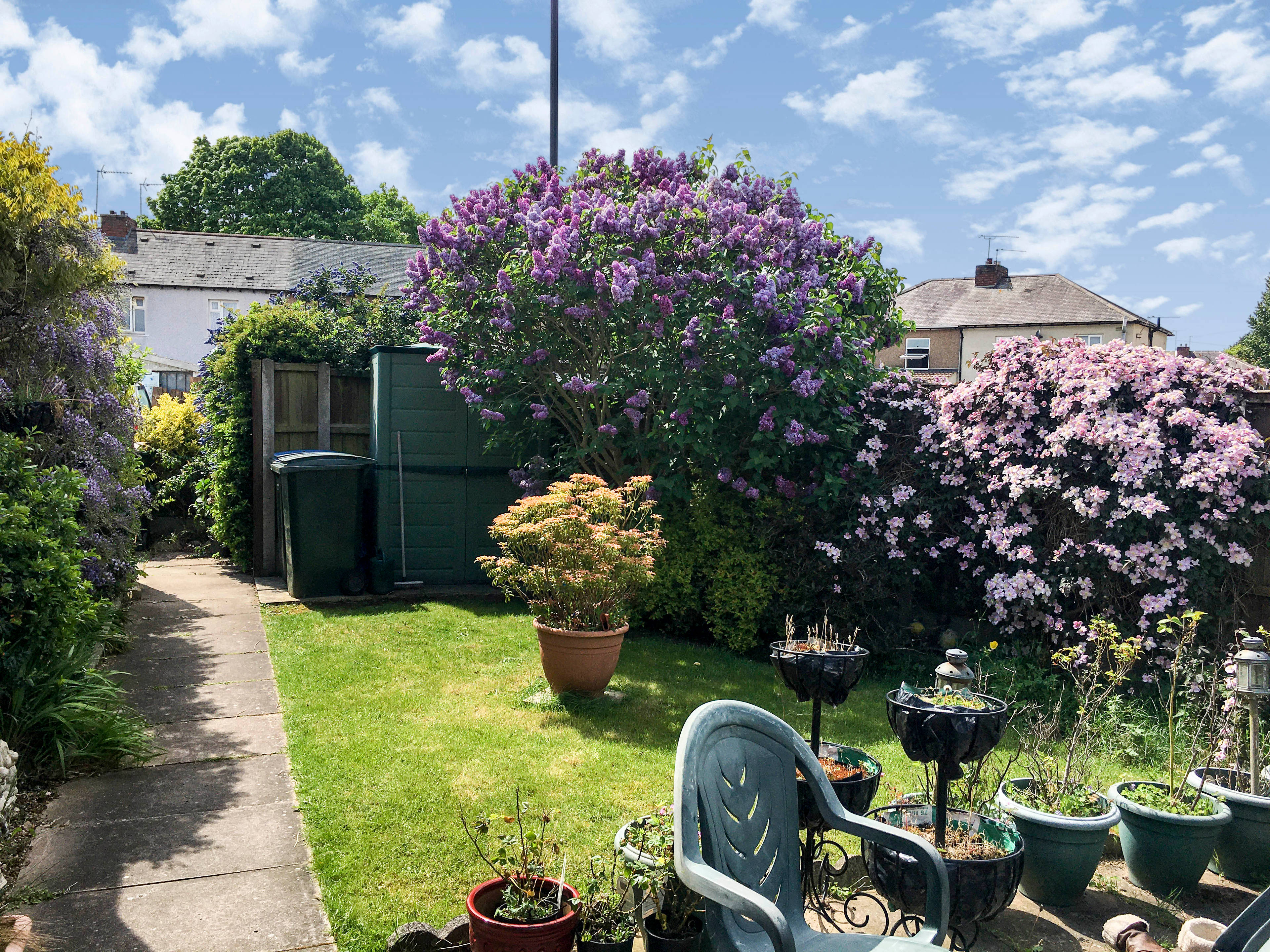 Side Garden