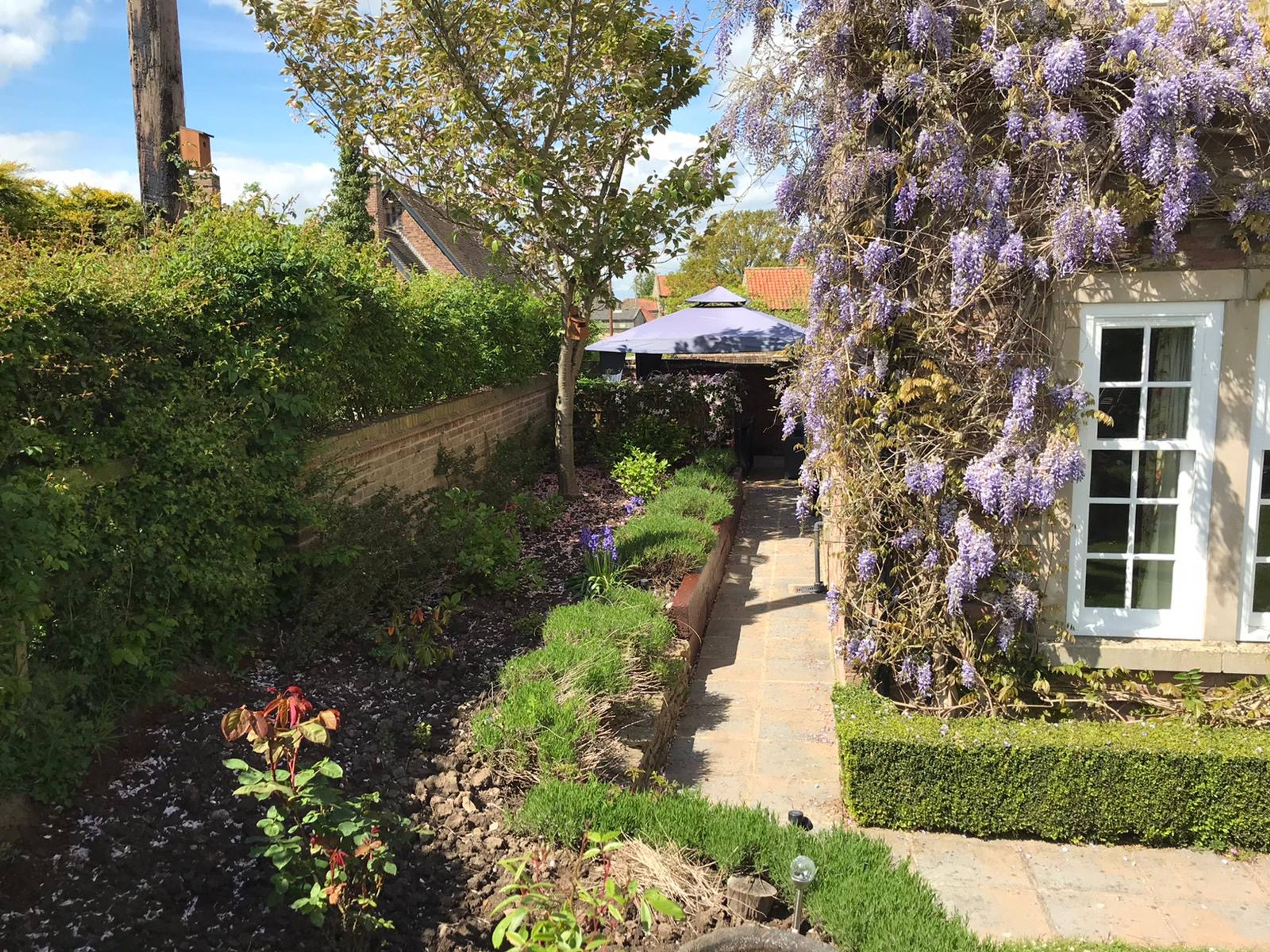 Side Garden