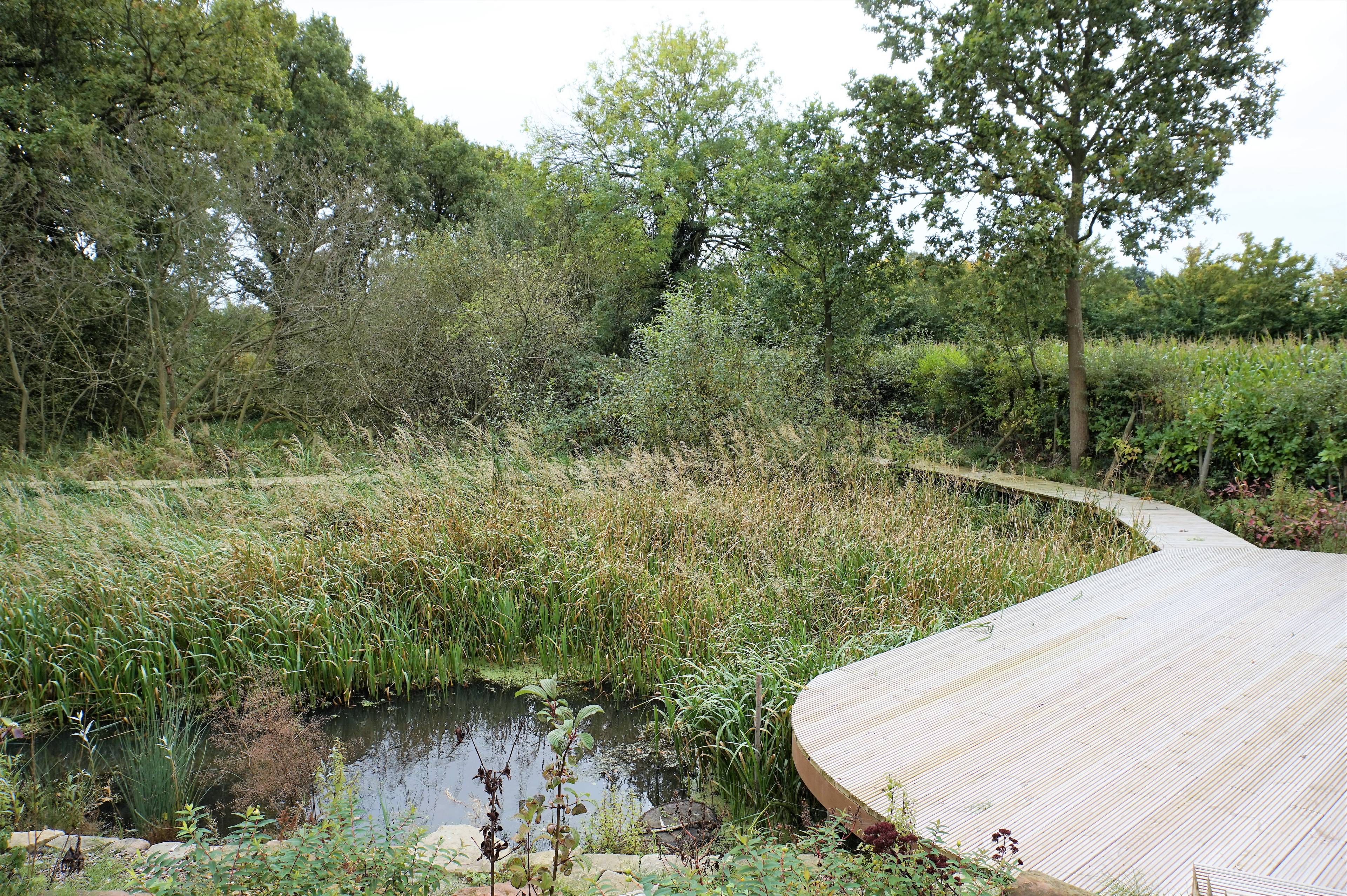 Pond