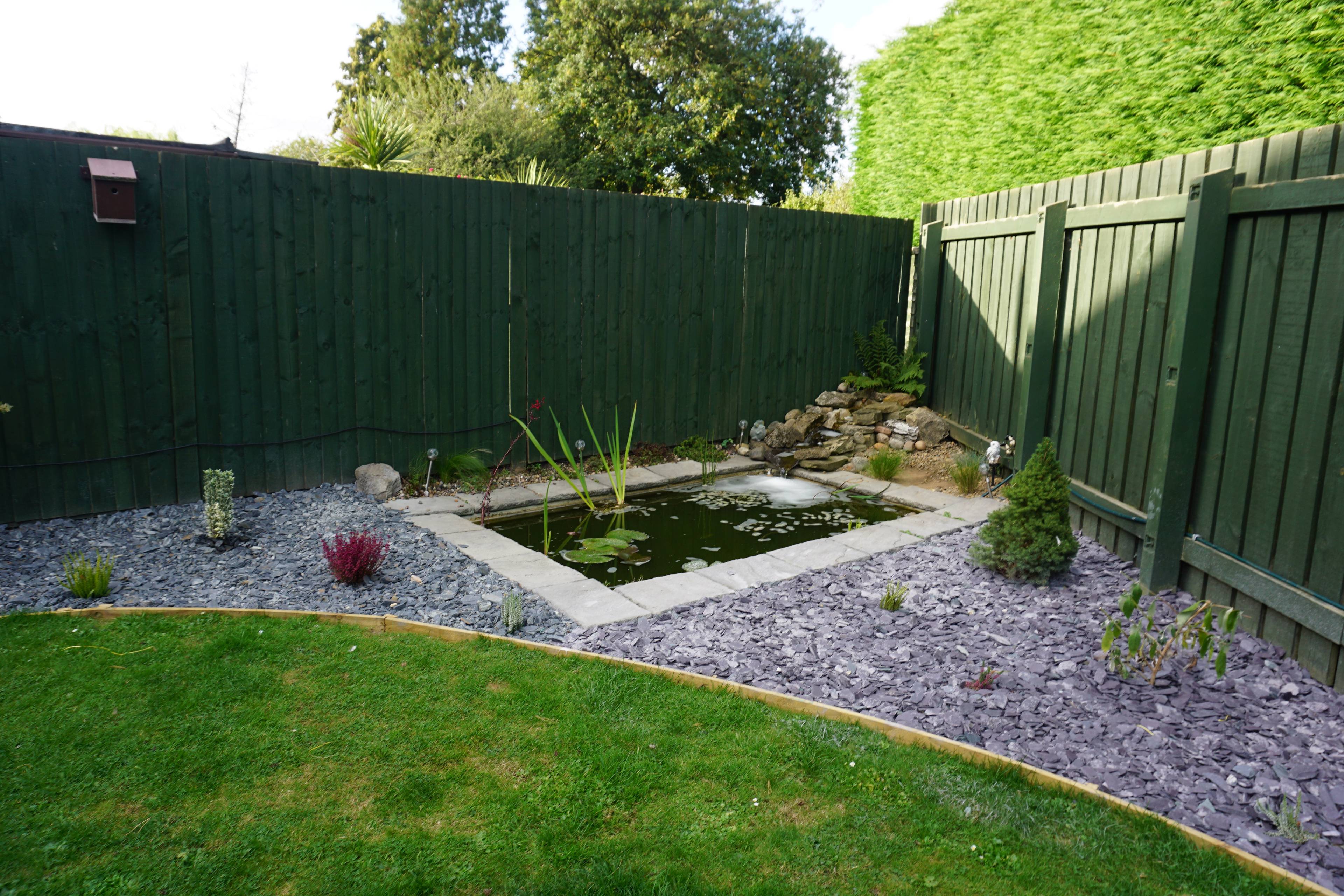 Pond
