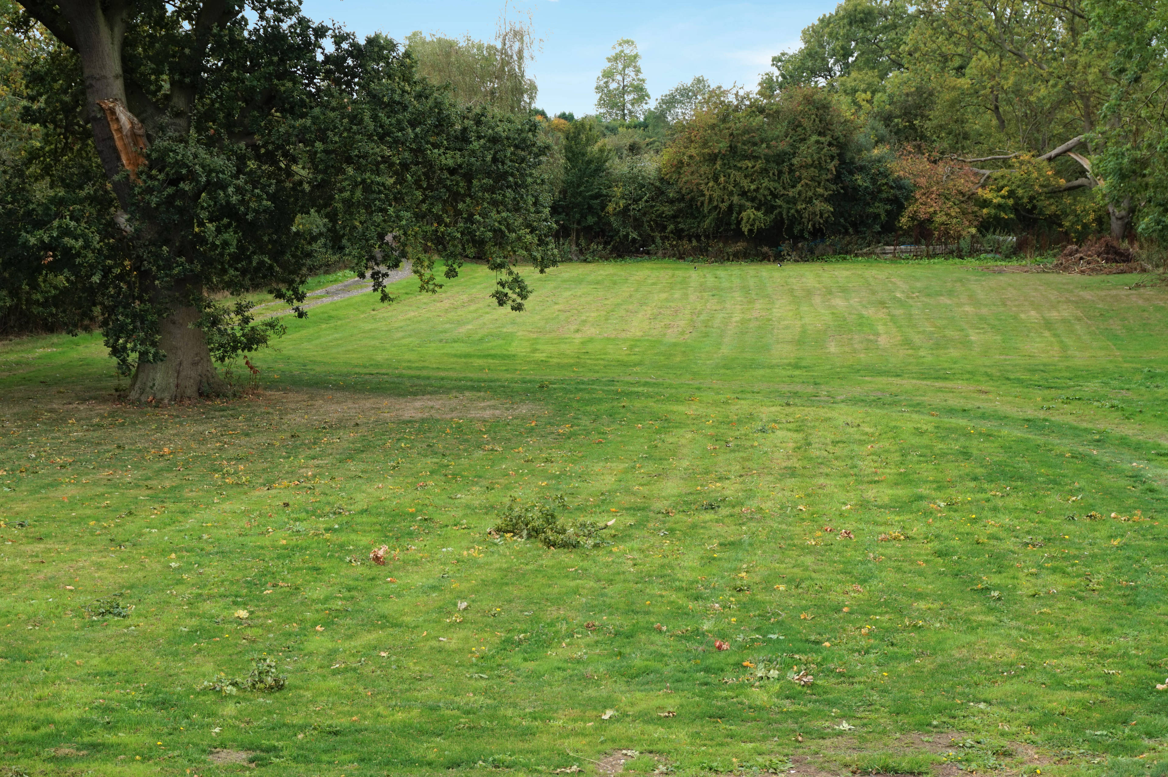 Front Garden