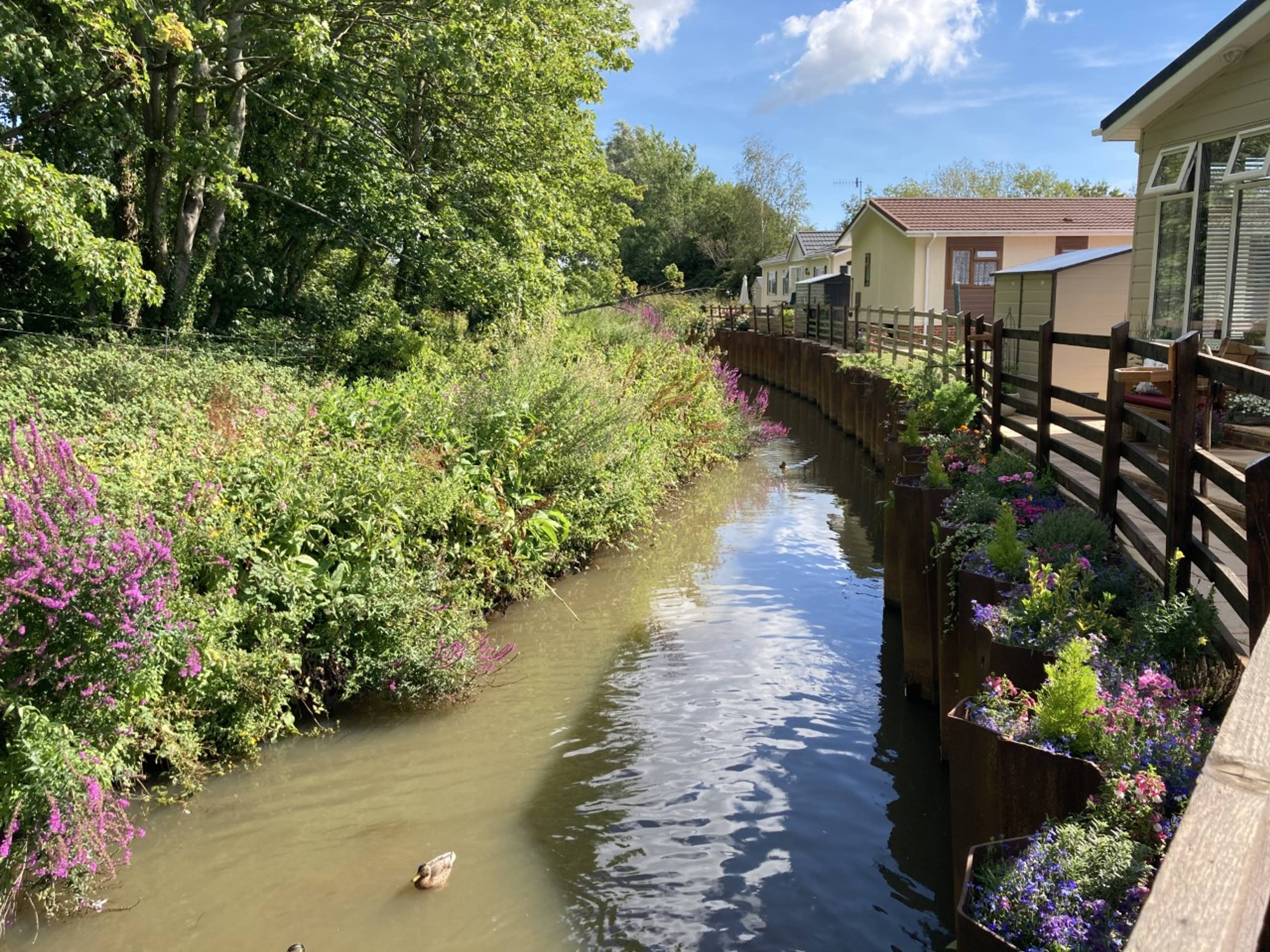 Nearby River