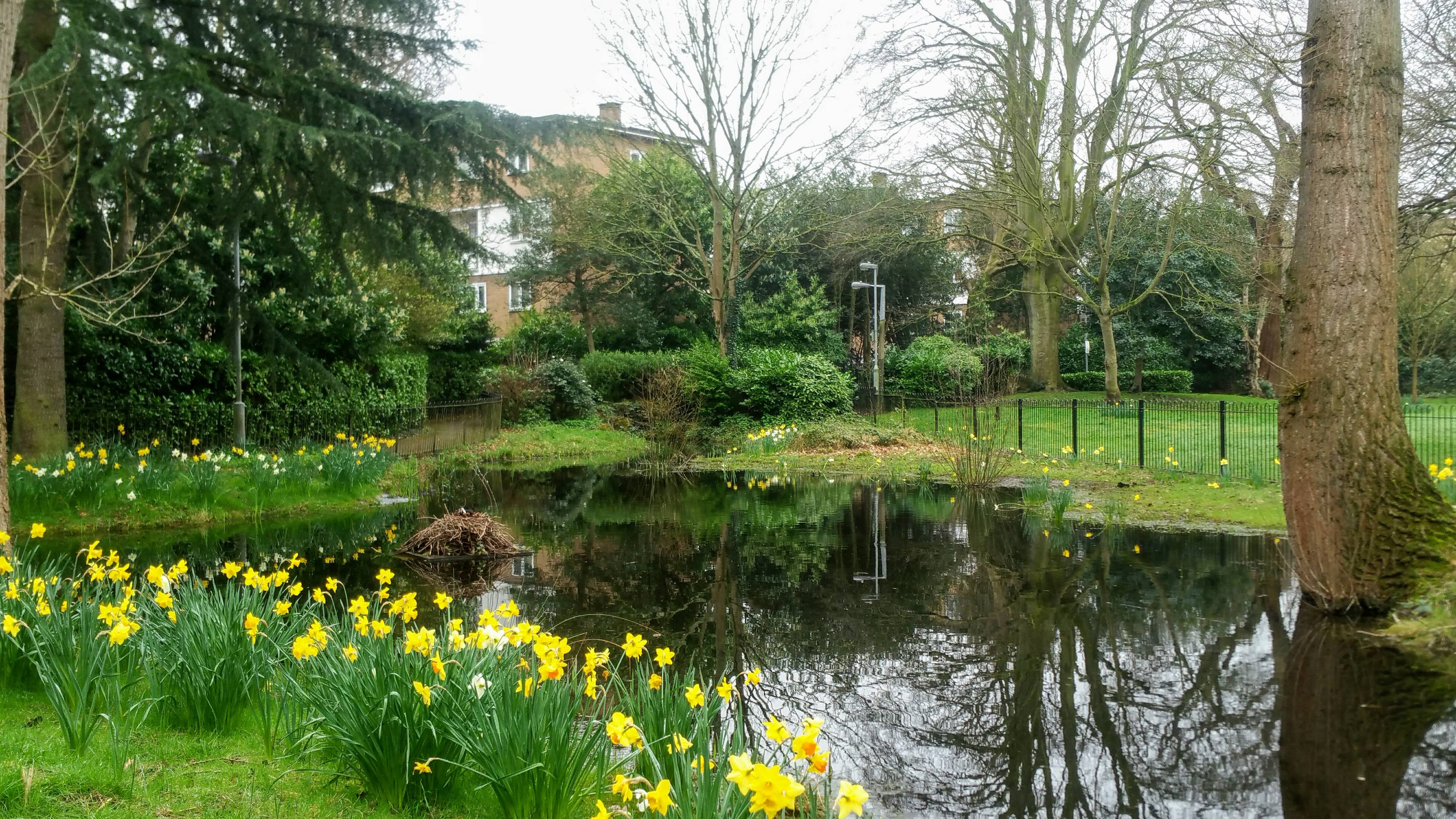 Communal Gardens