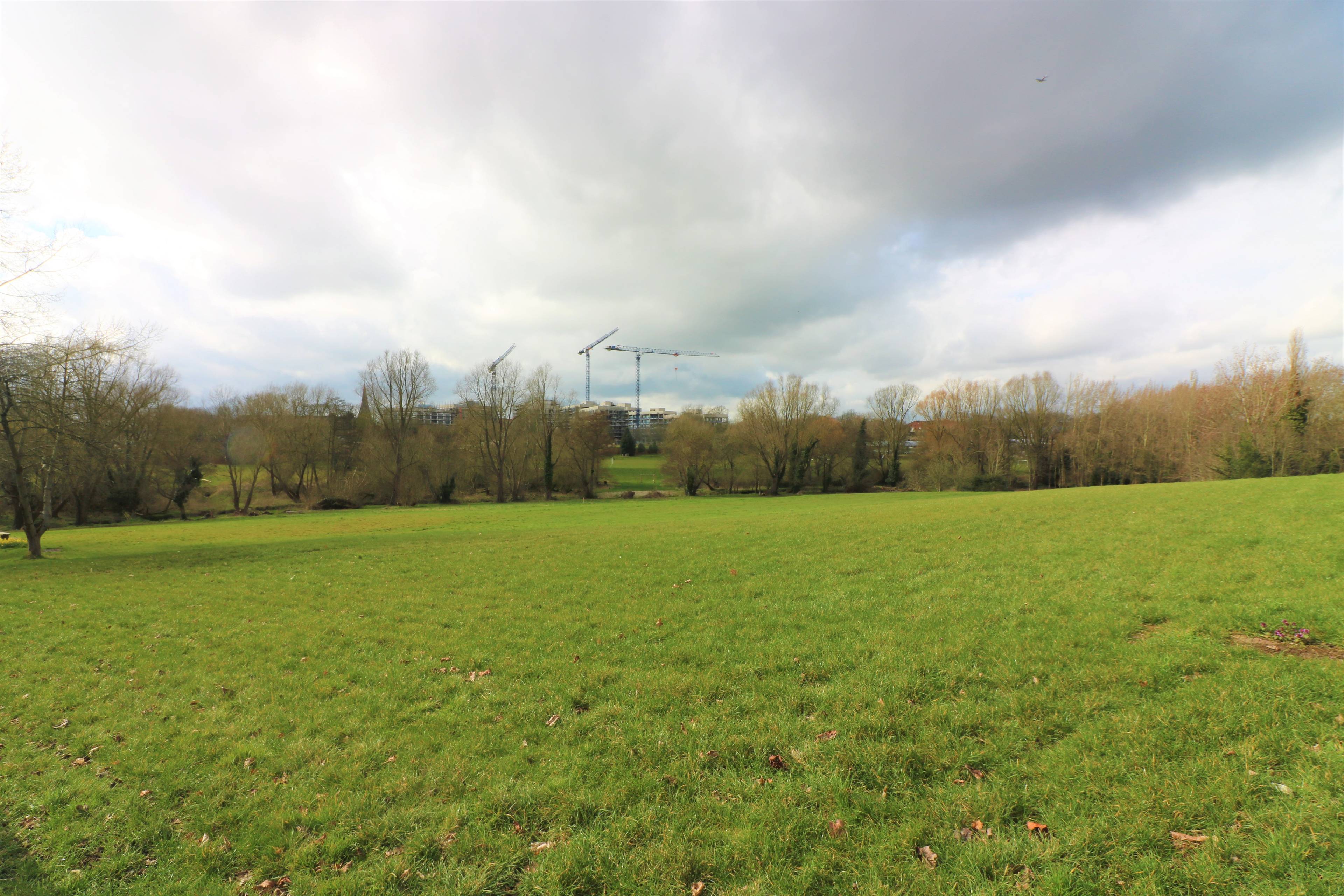 Nearby Park