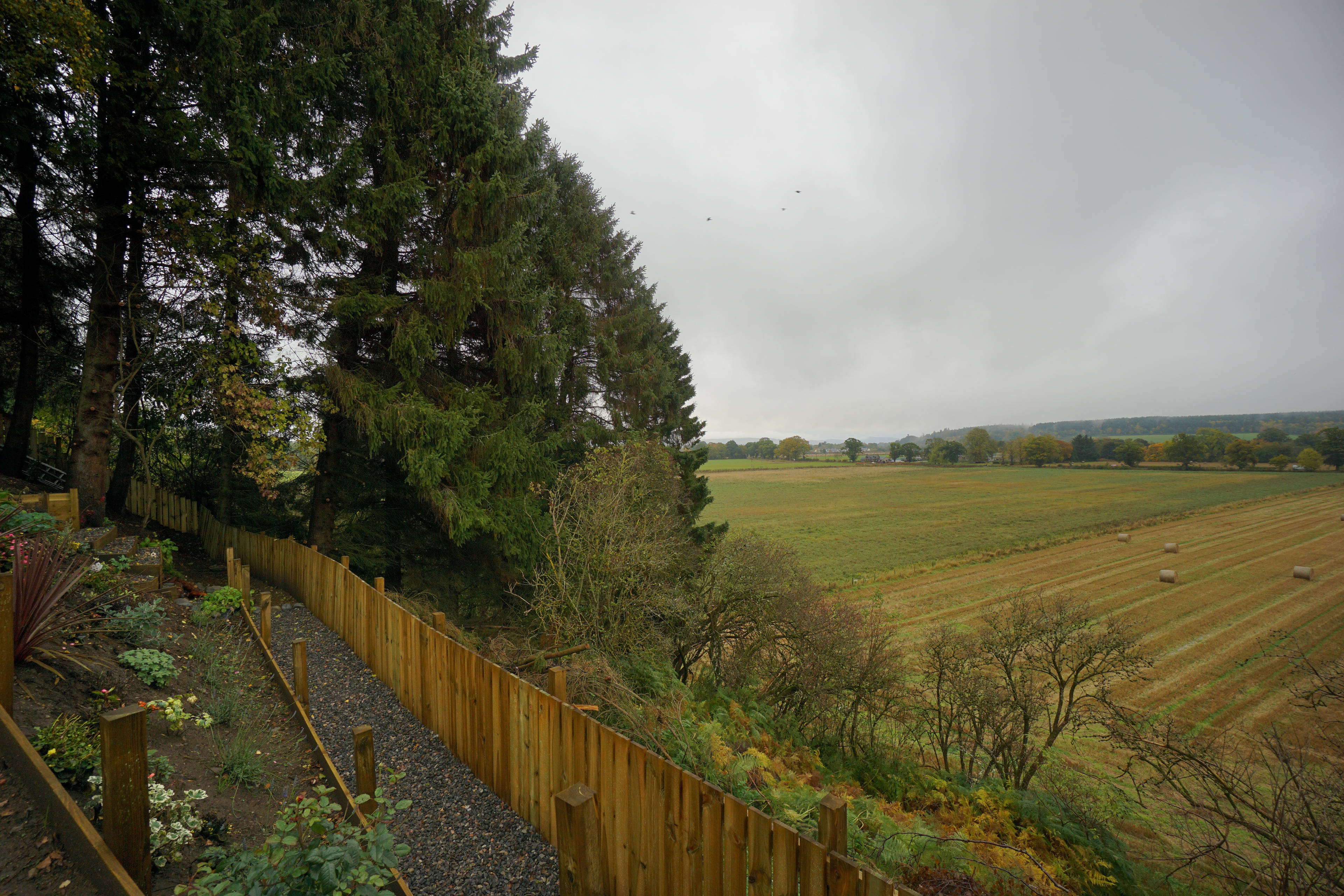 View
