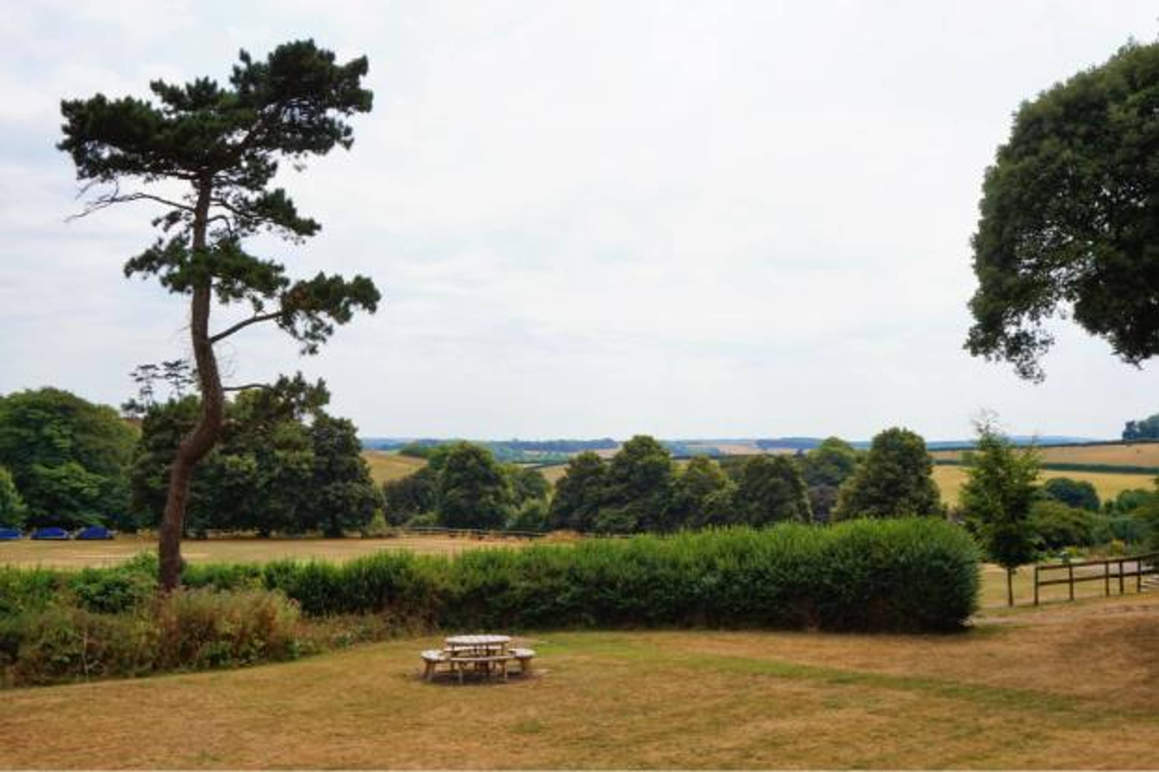 Communal Gardens
