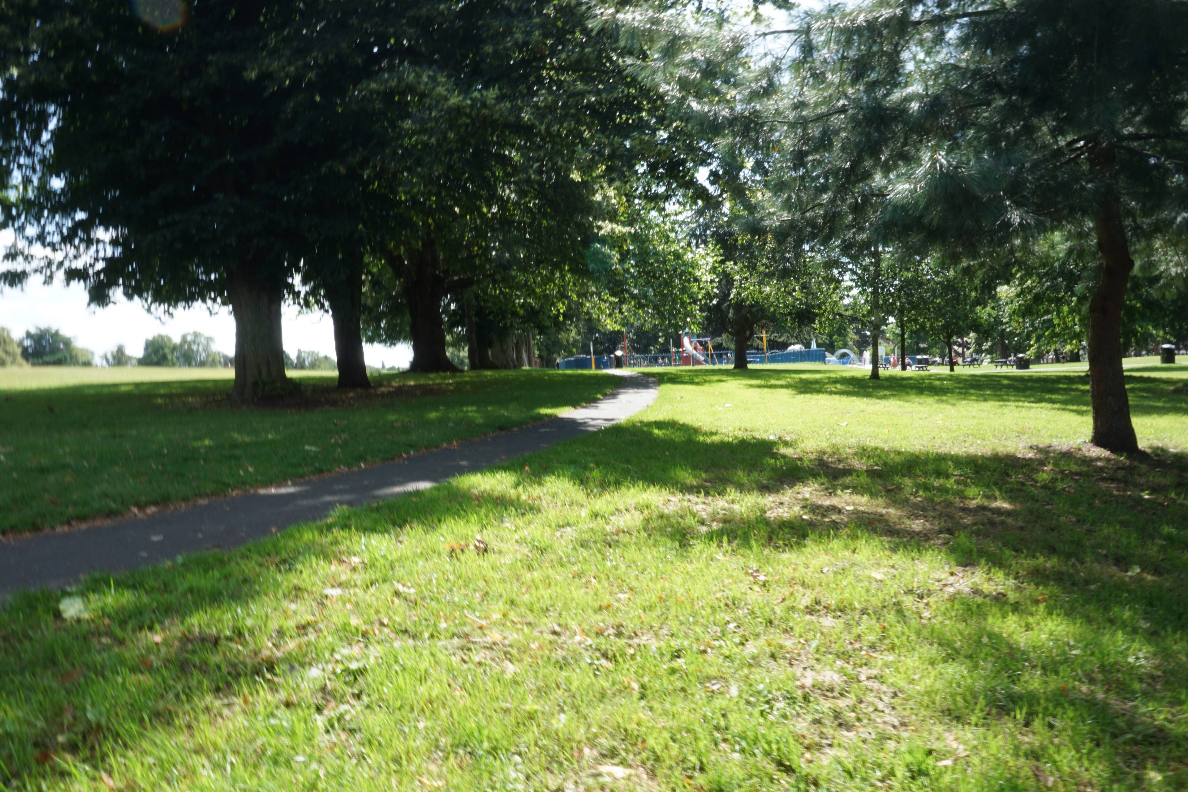 The Park