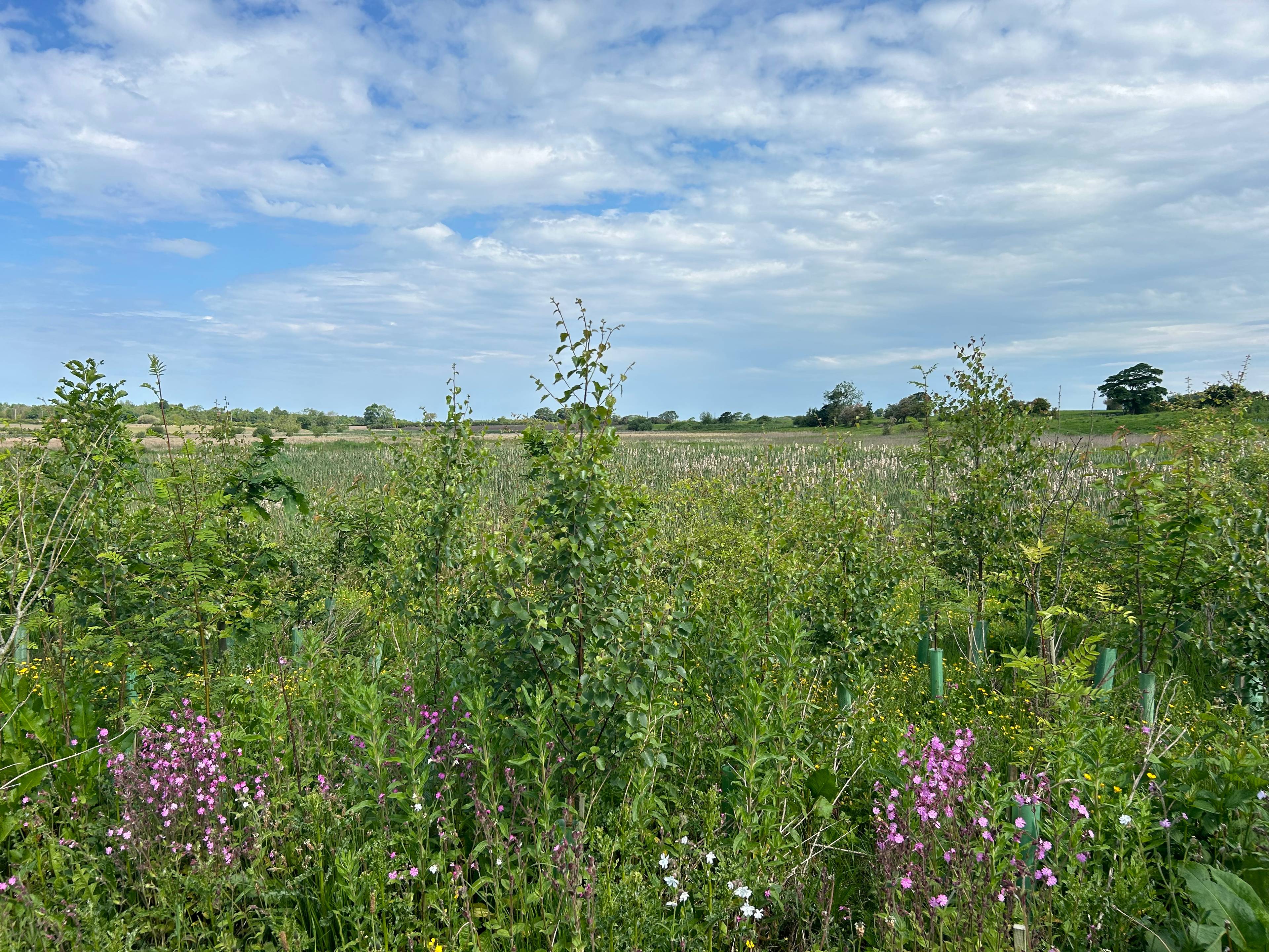 Nature Reserve