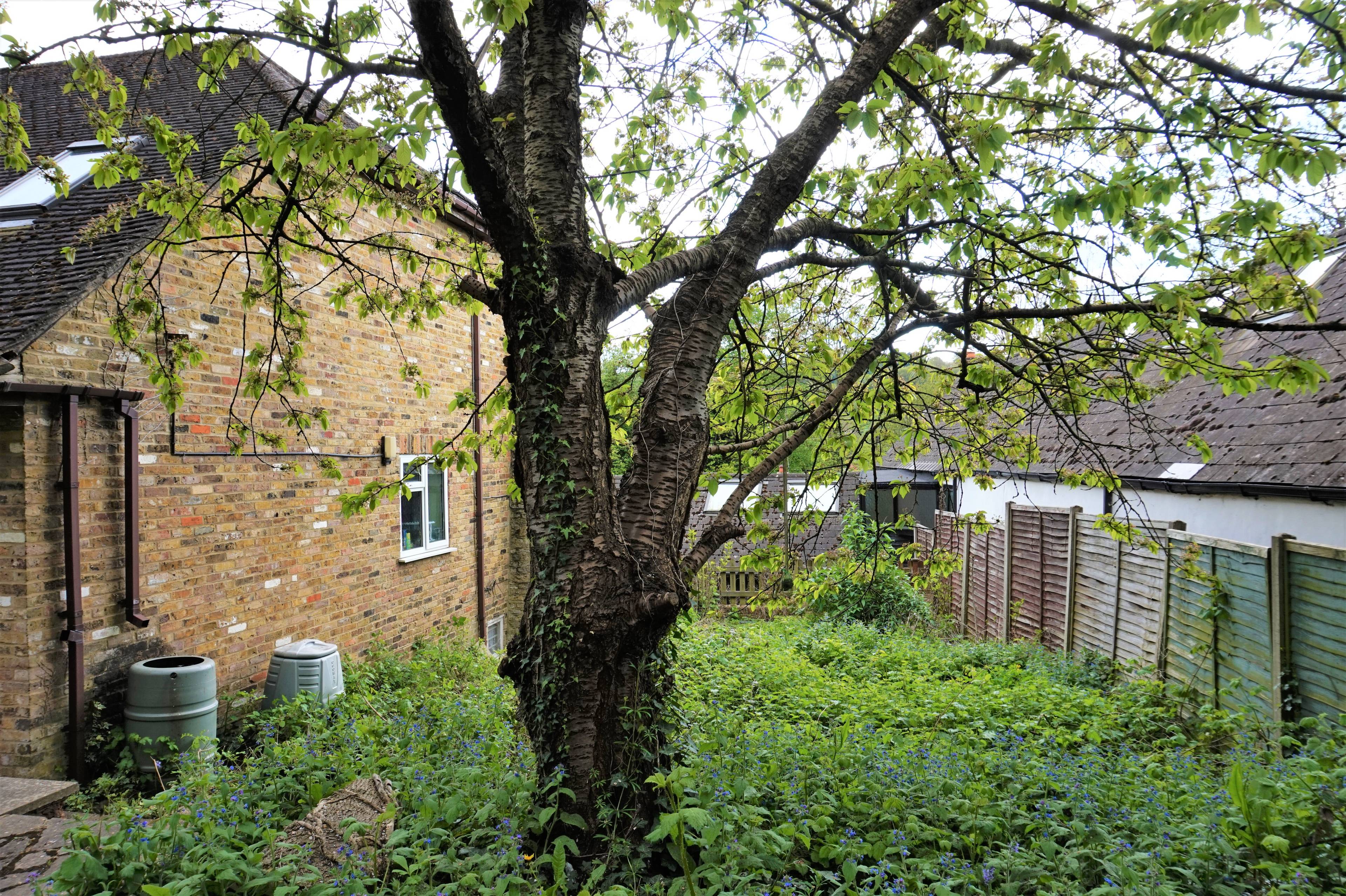 Side Garden