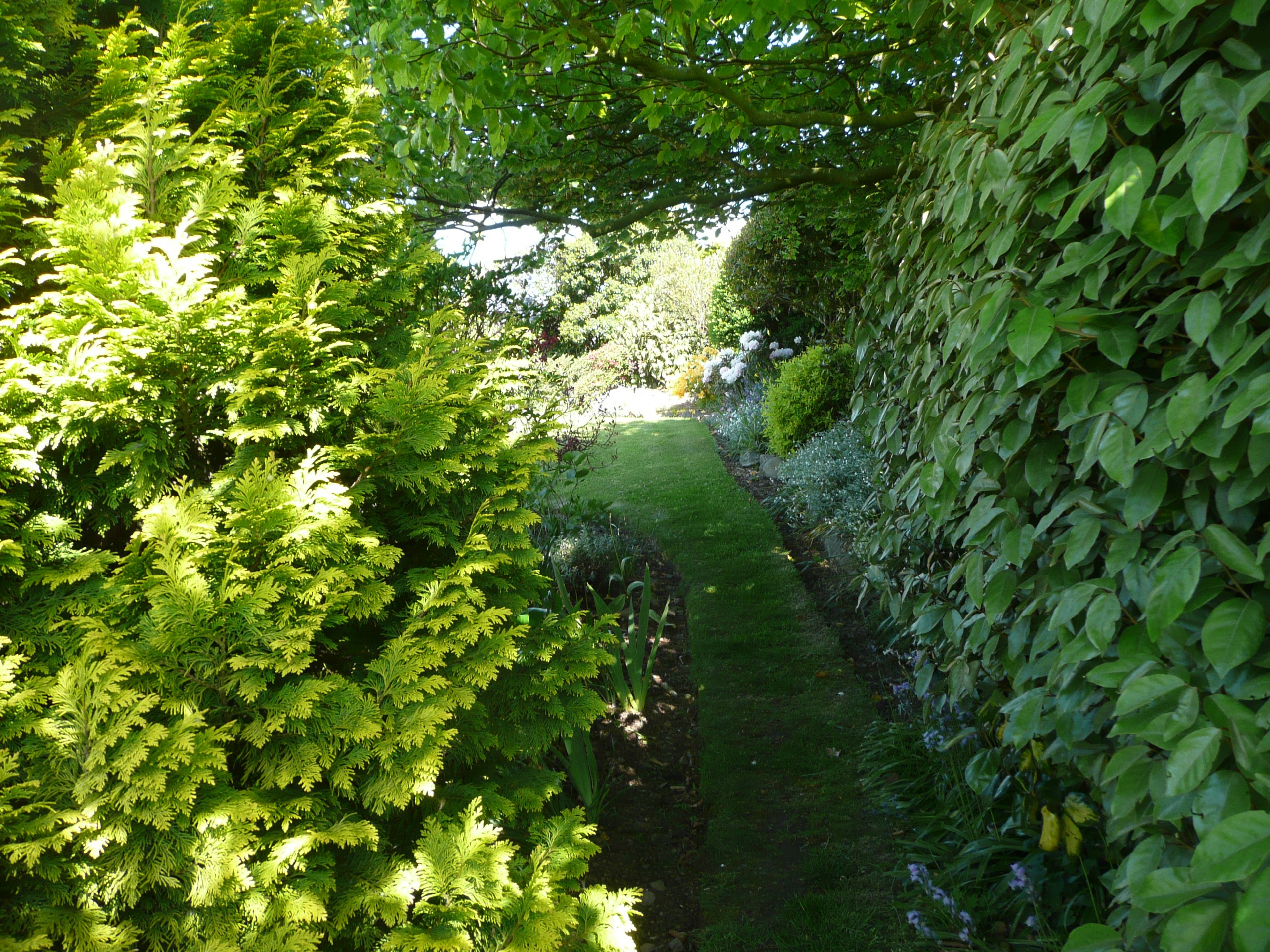 Unnamed photo