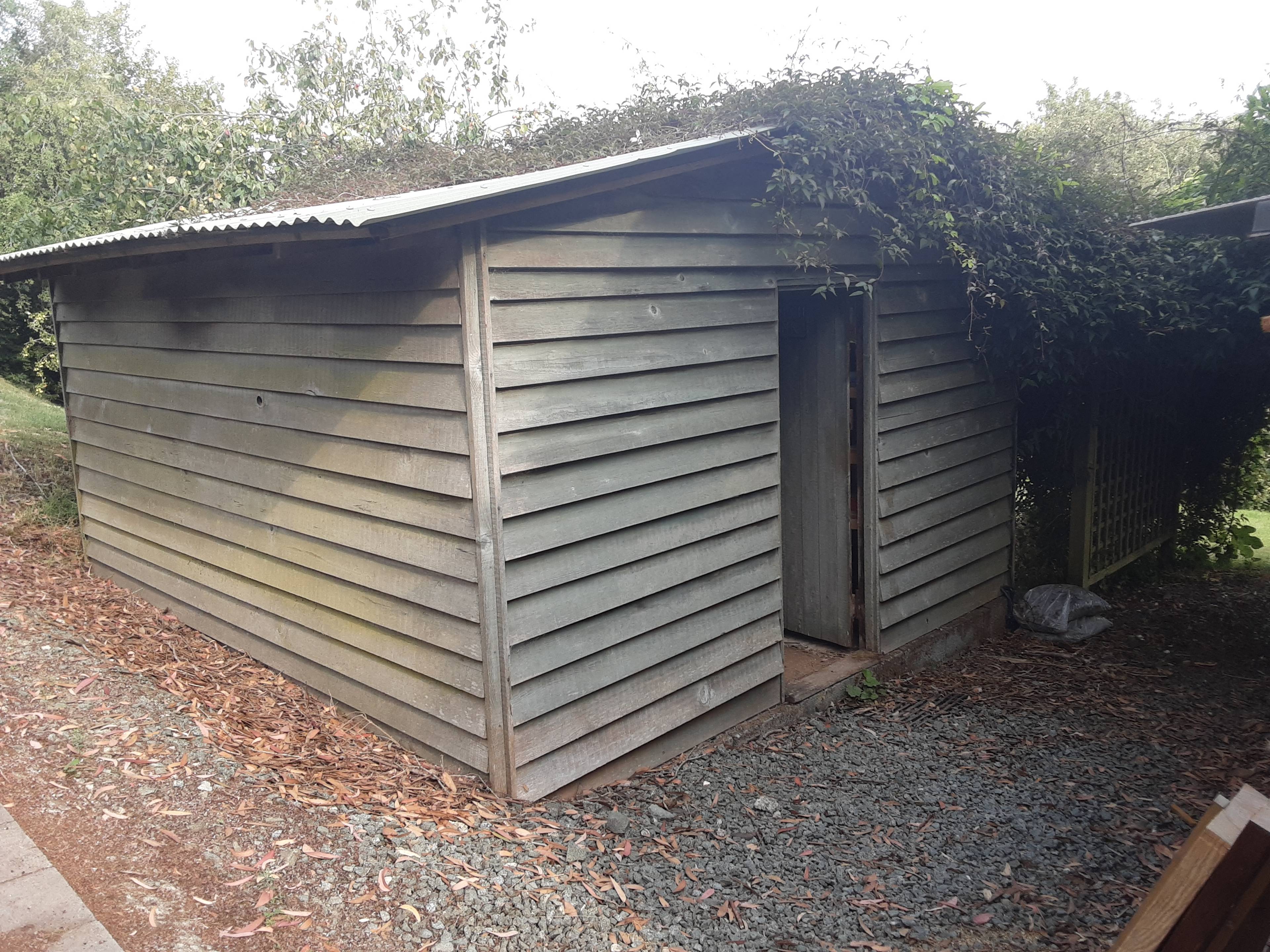 Shed