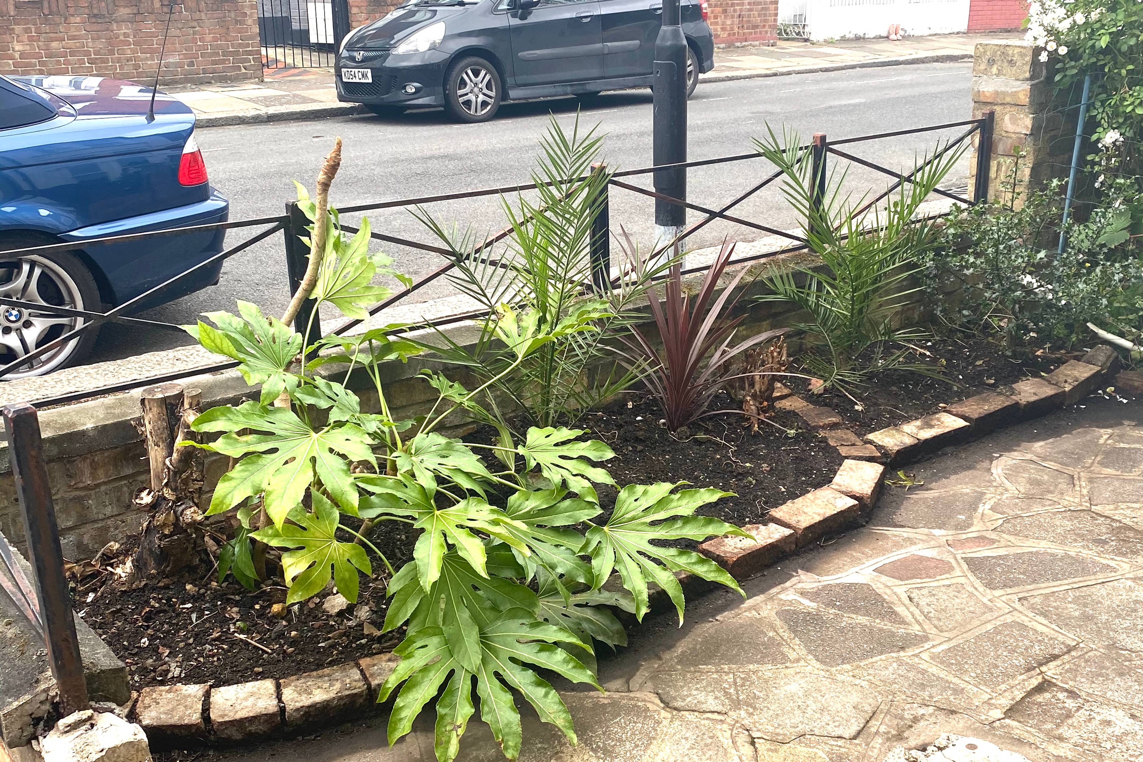 Front Garden