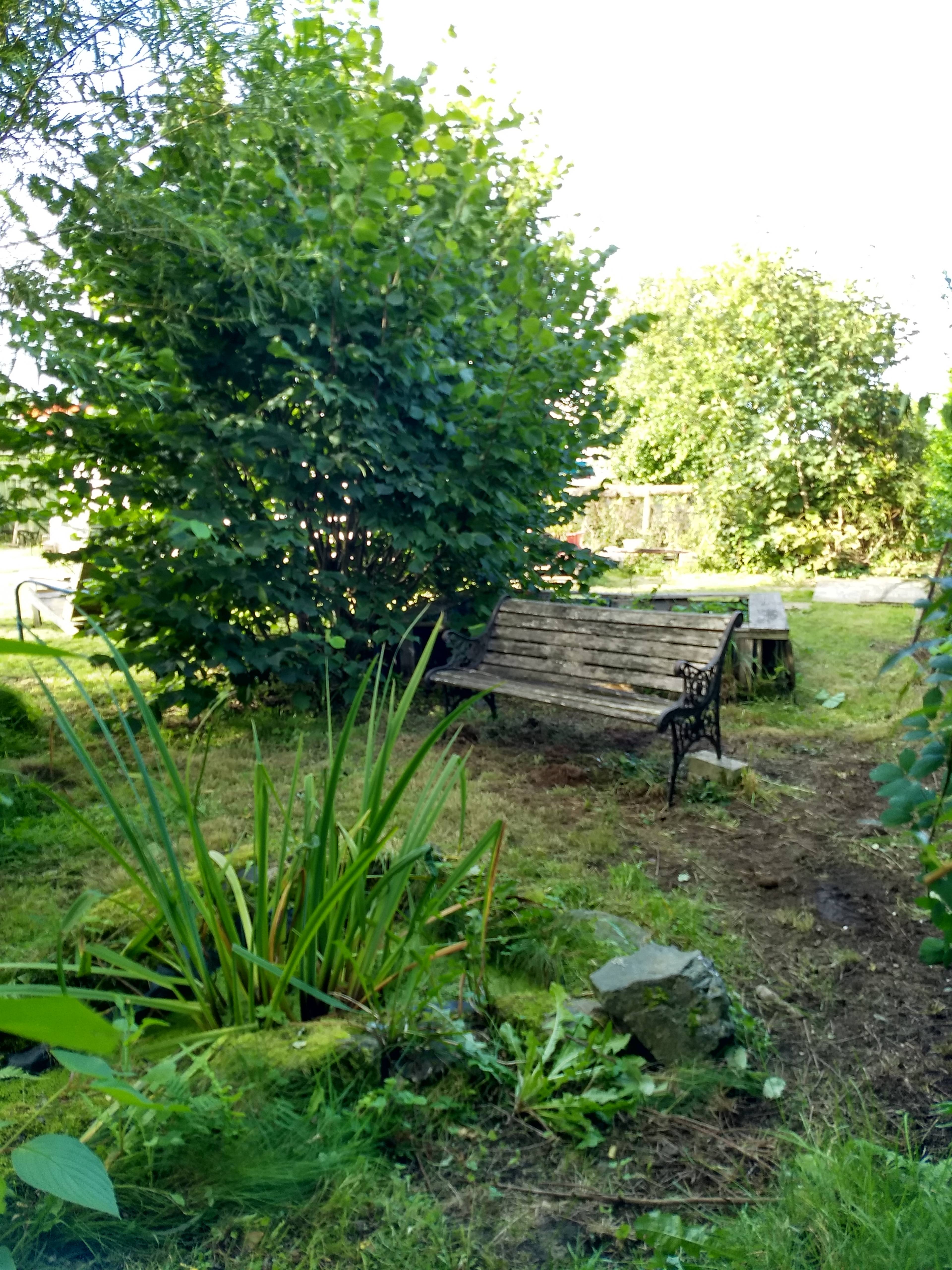 Pond