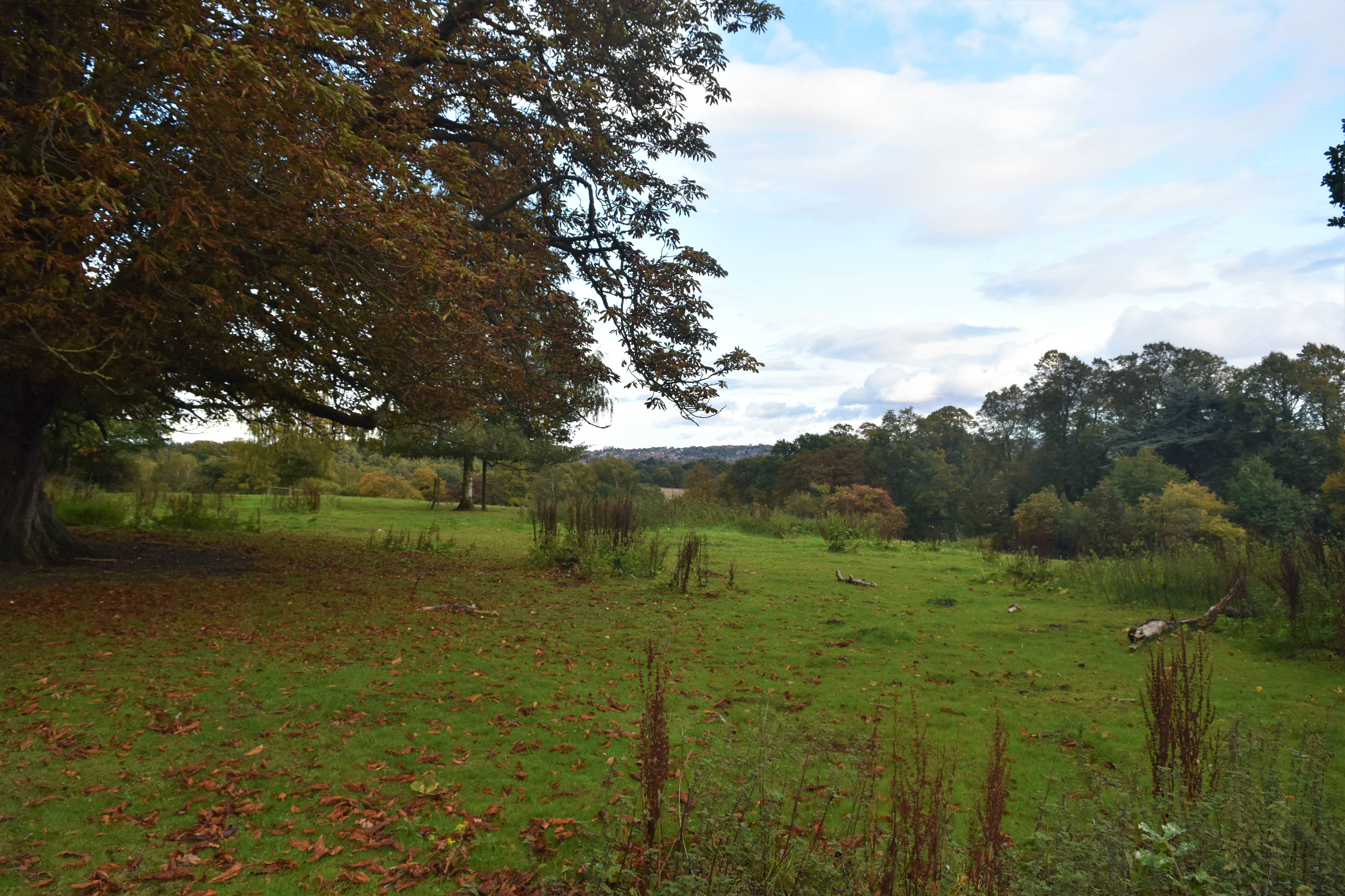 Field
