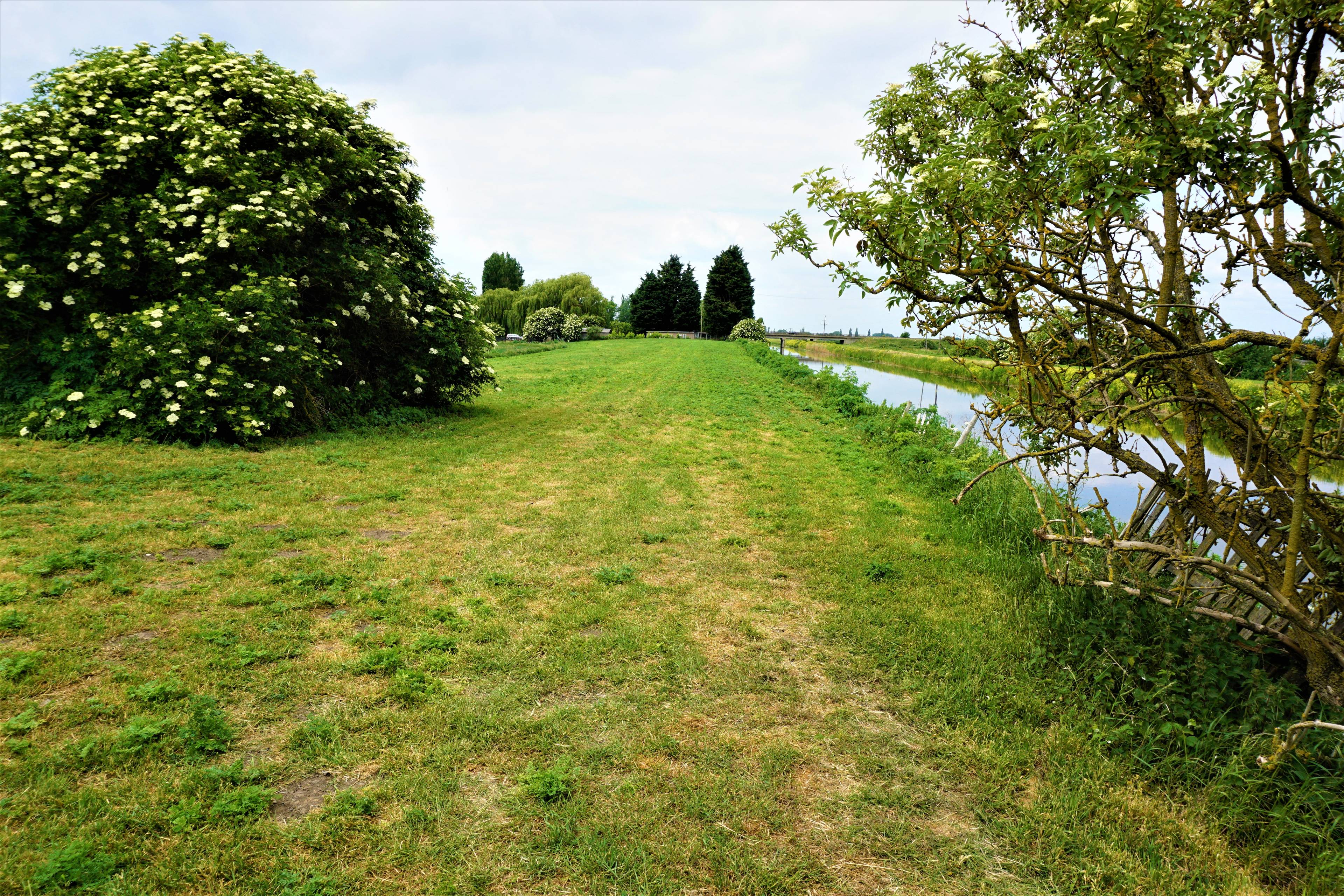 Nearby River