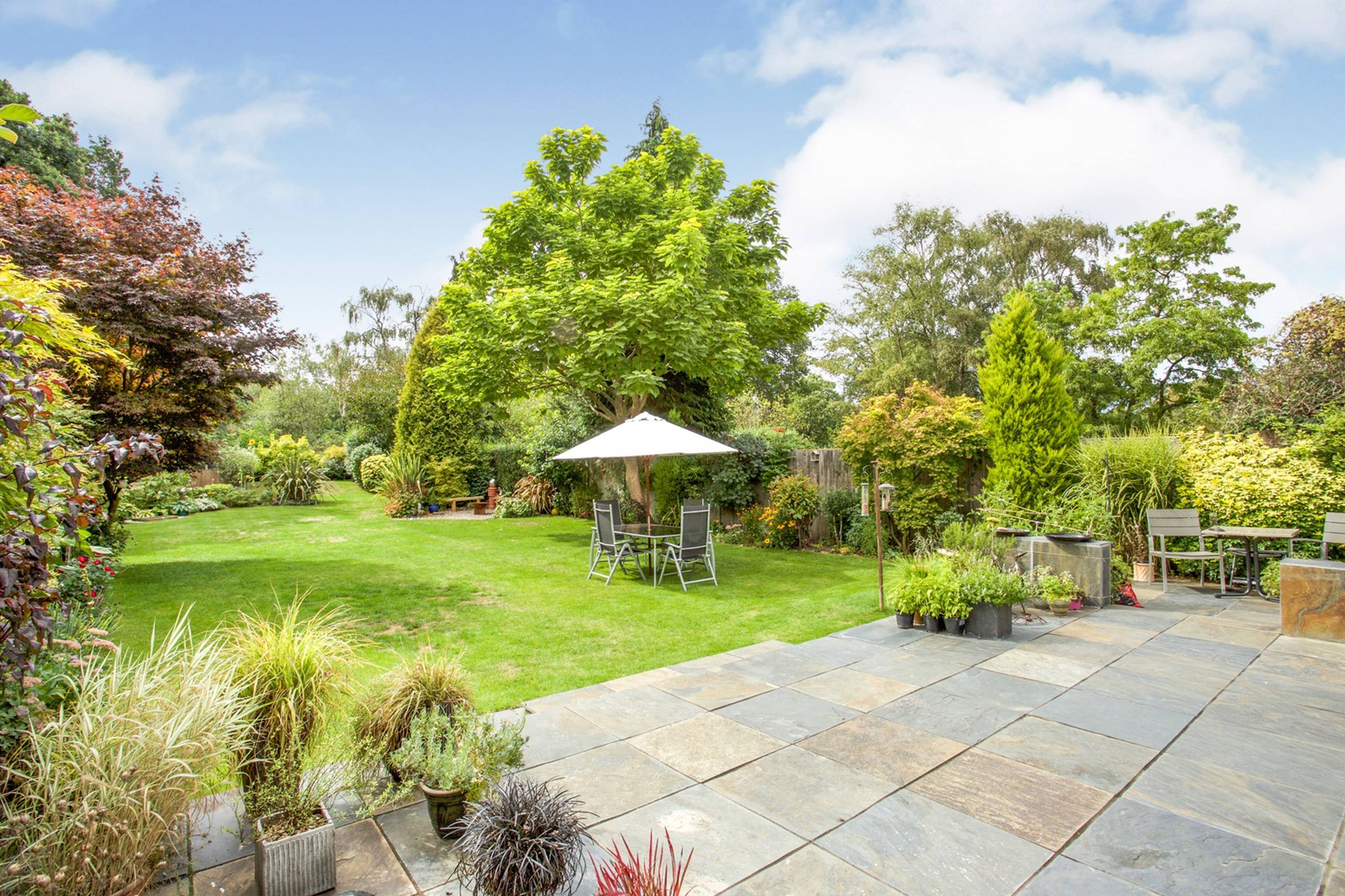 Garden