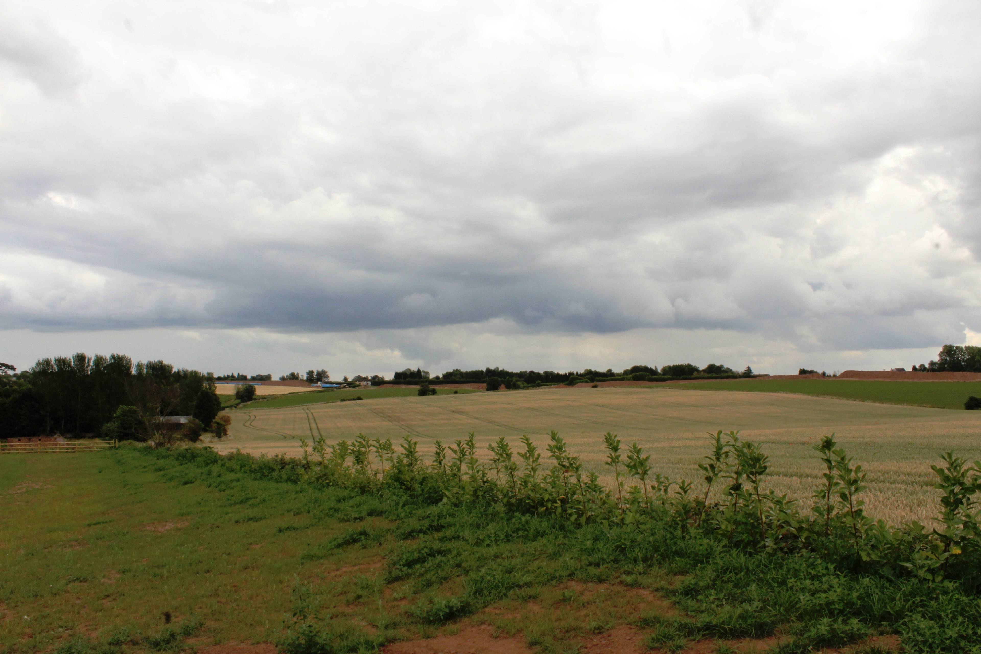 Surrounding Area