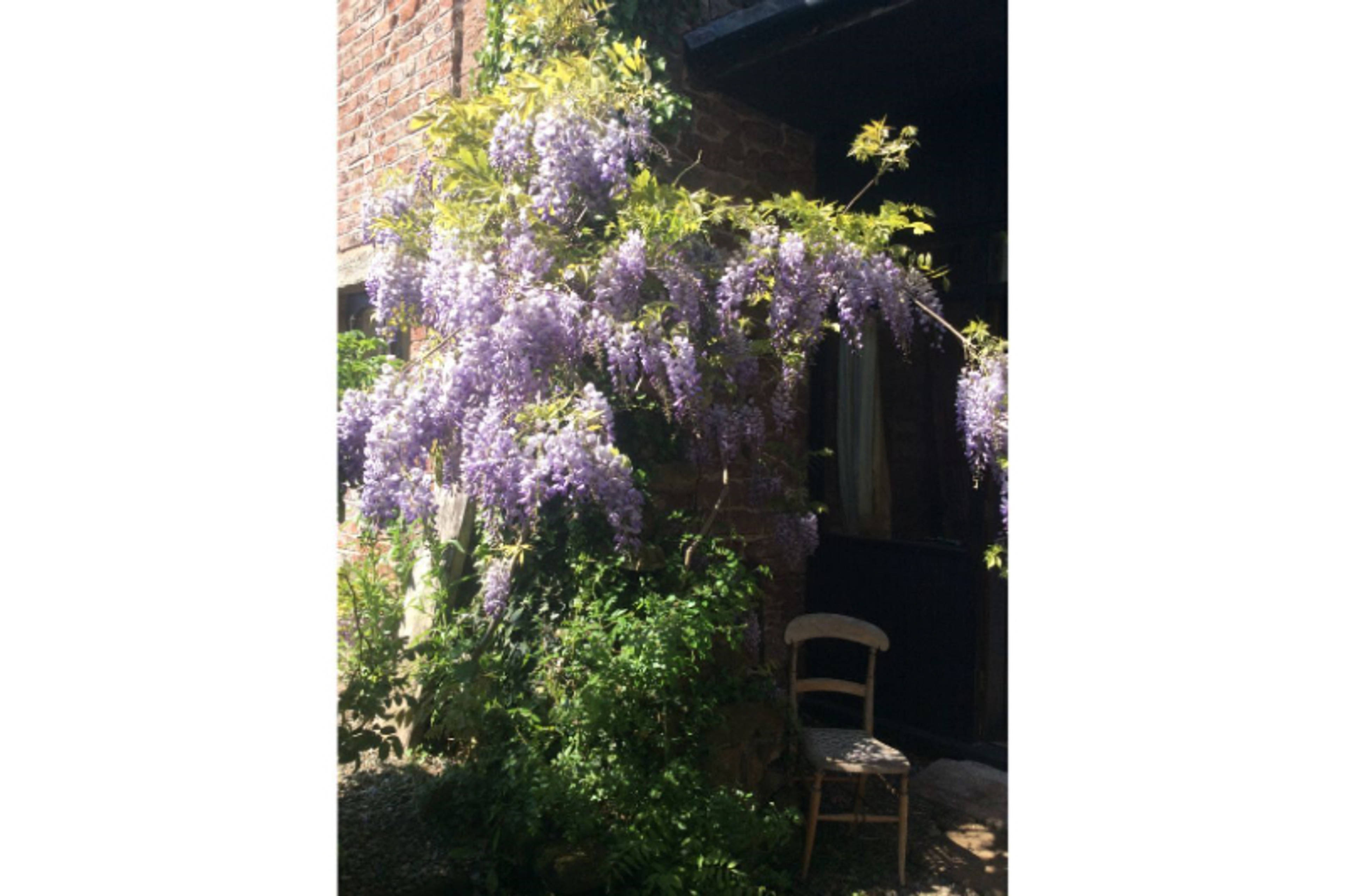 Cottage Garden