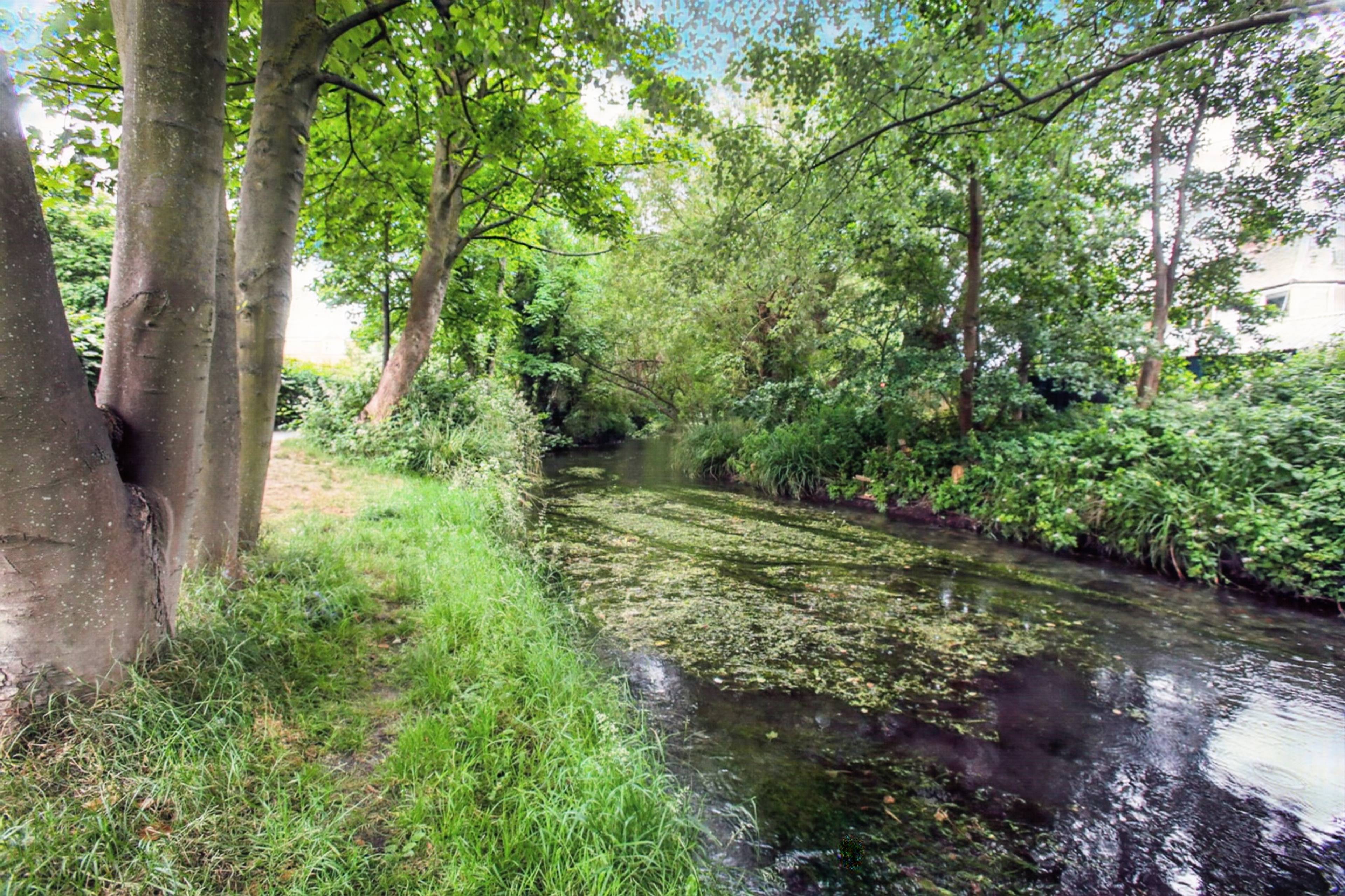 Nearby River