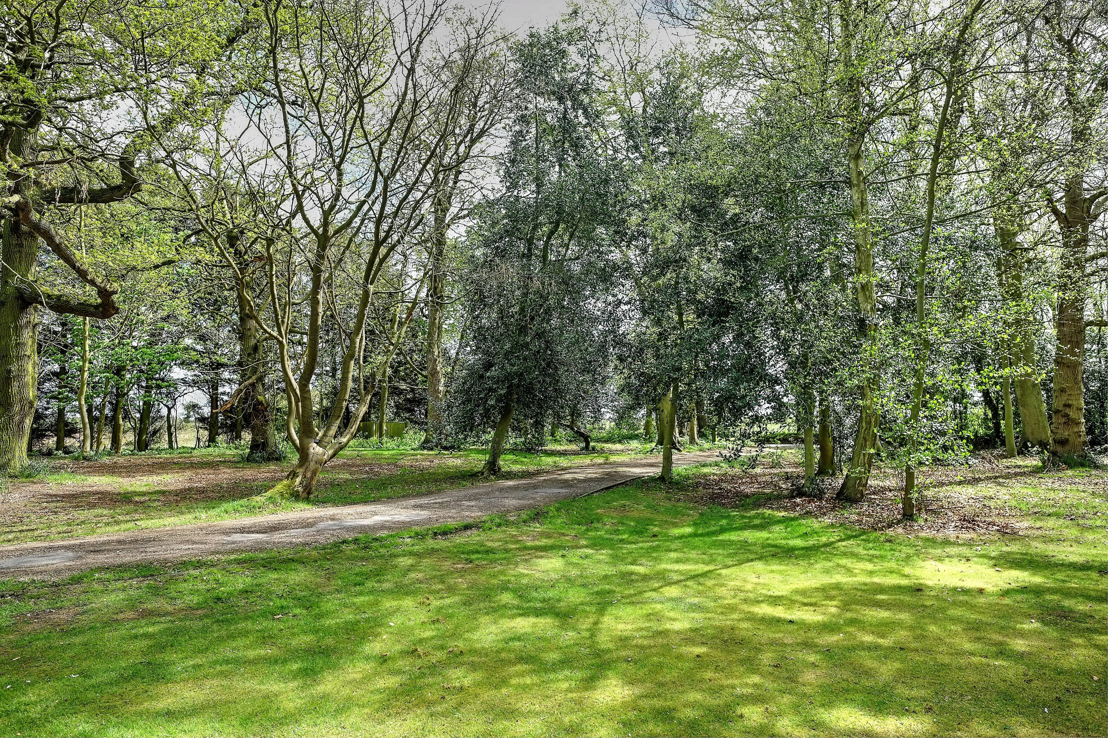 Driveway