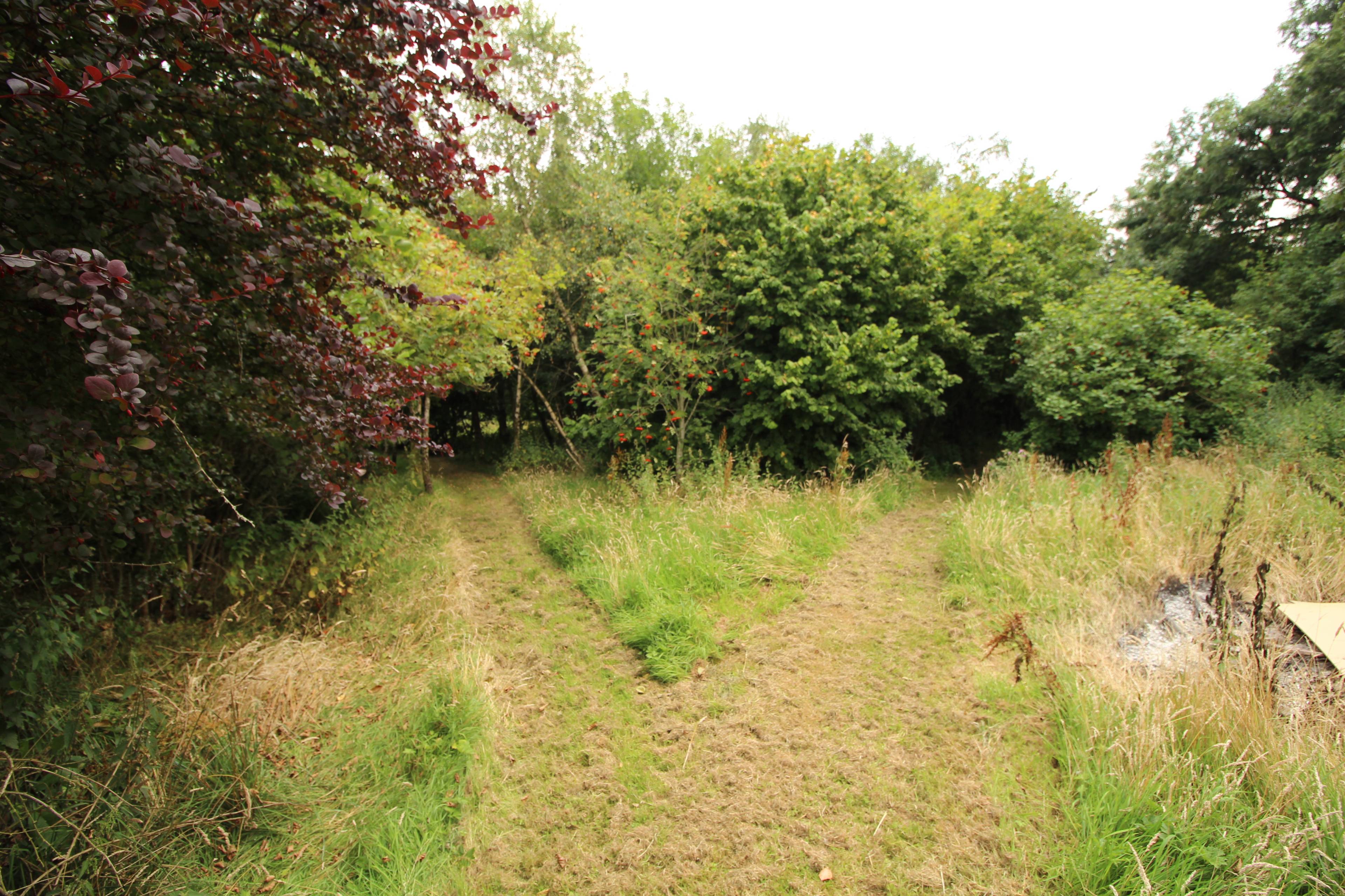 Grounds