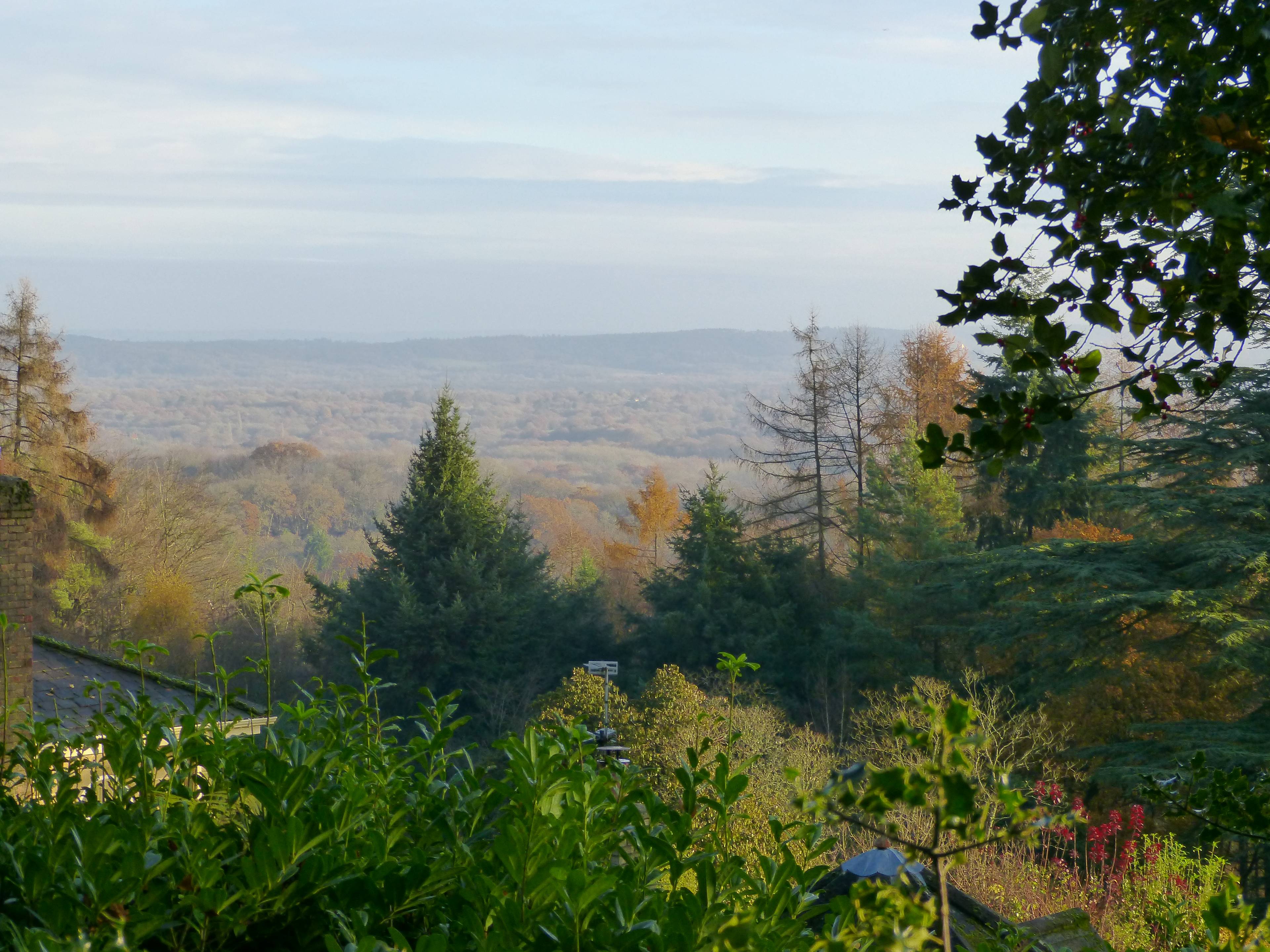 View