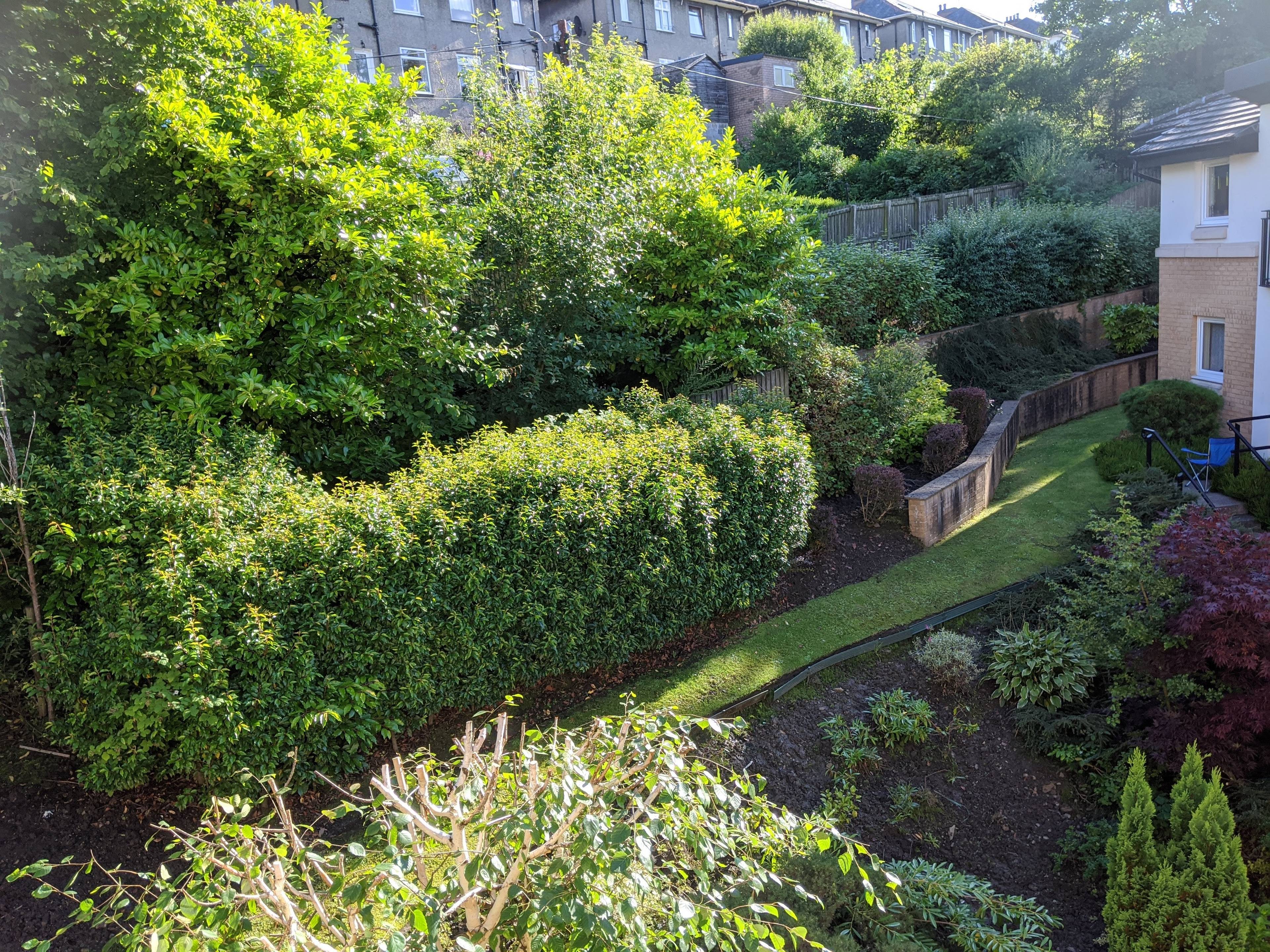 Gardens