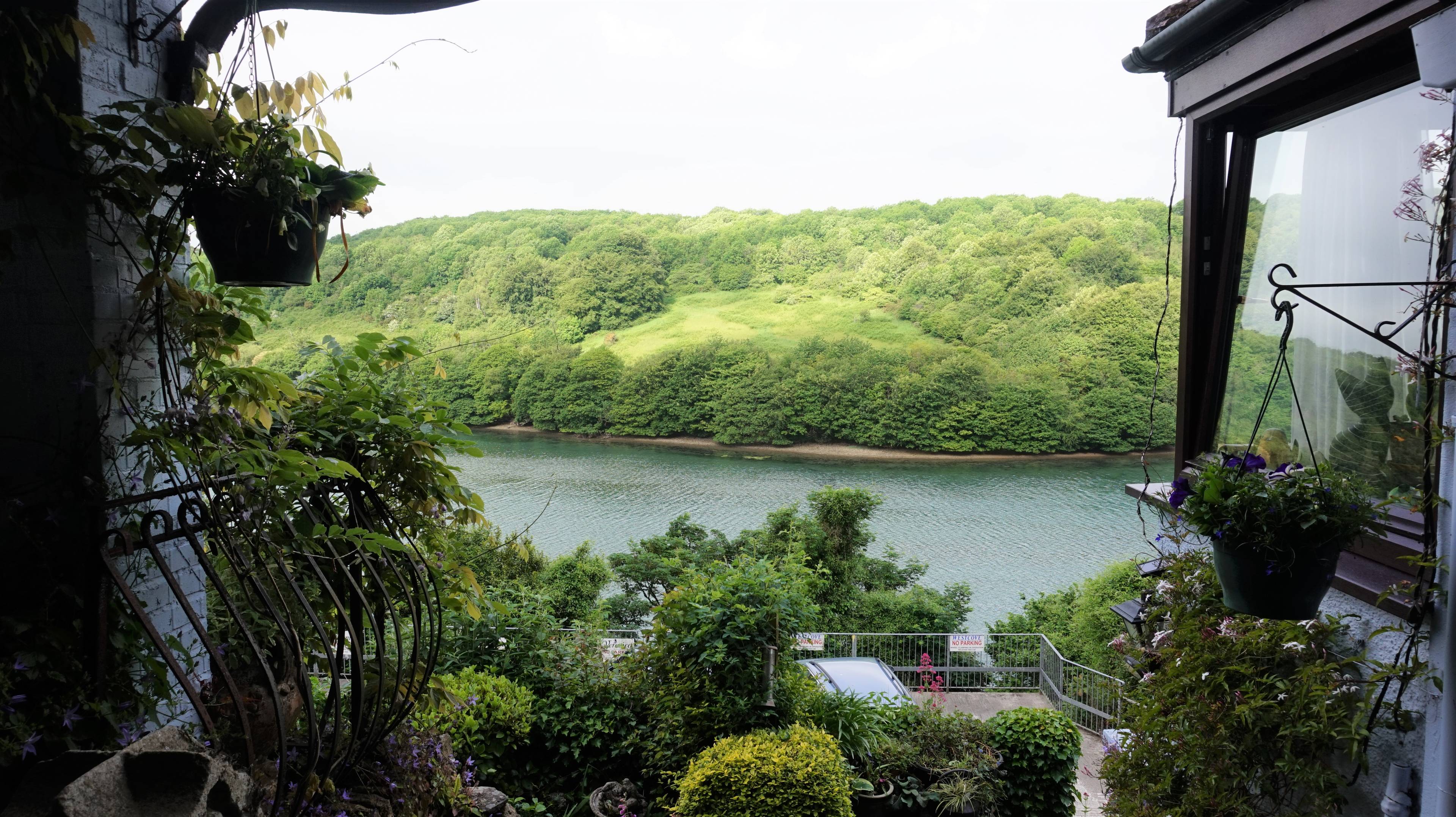 View