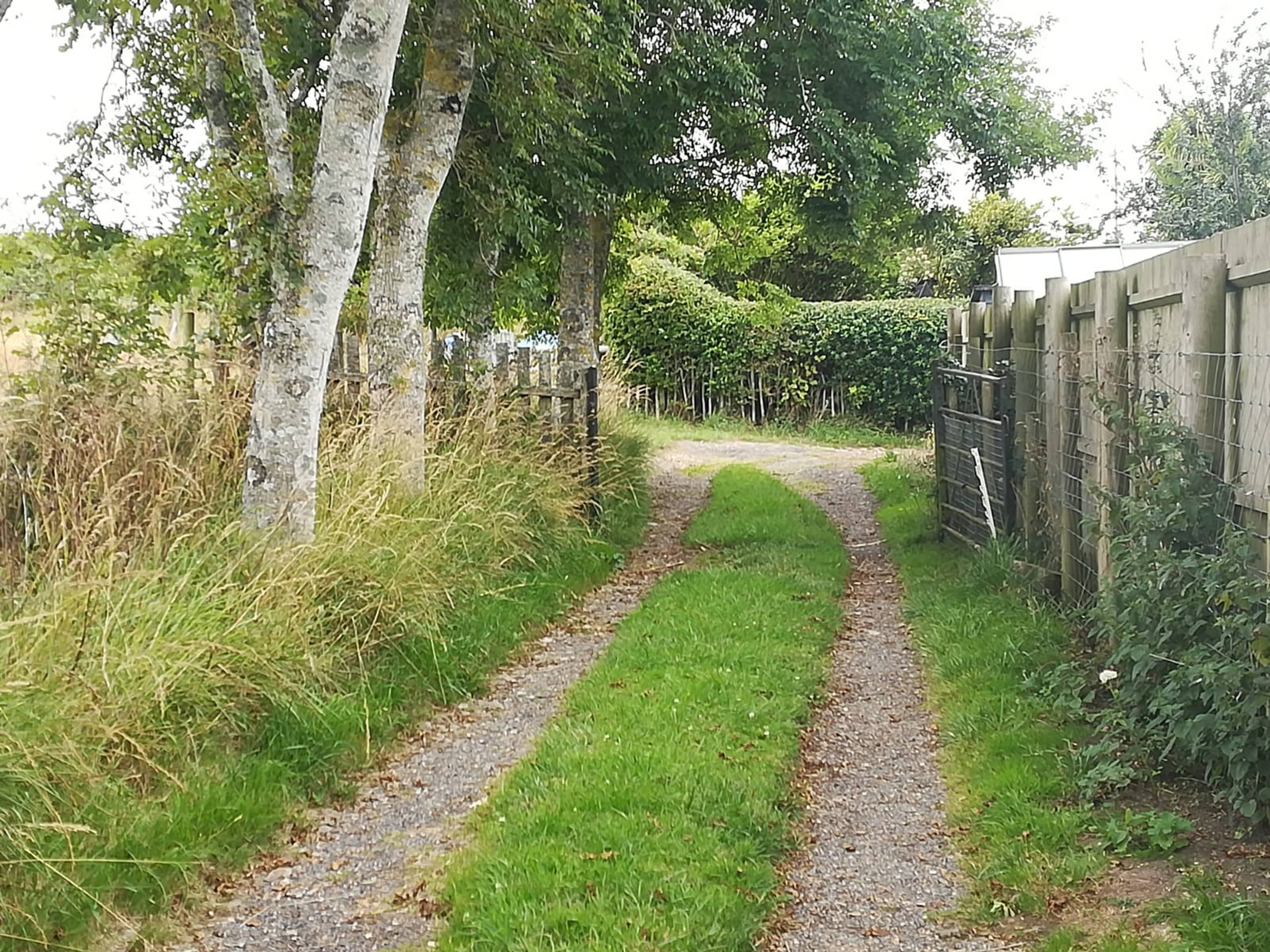 Driveway