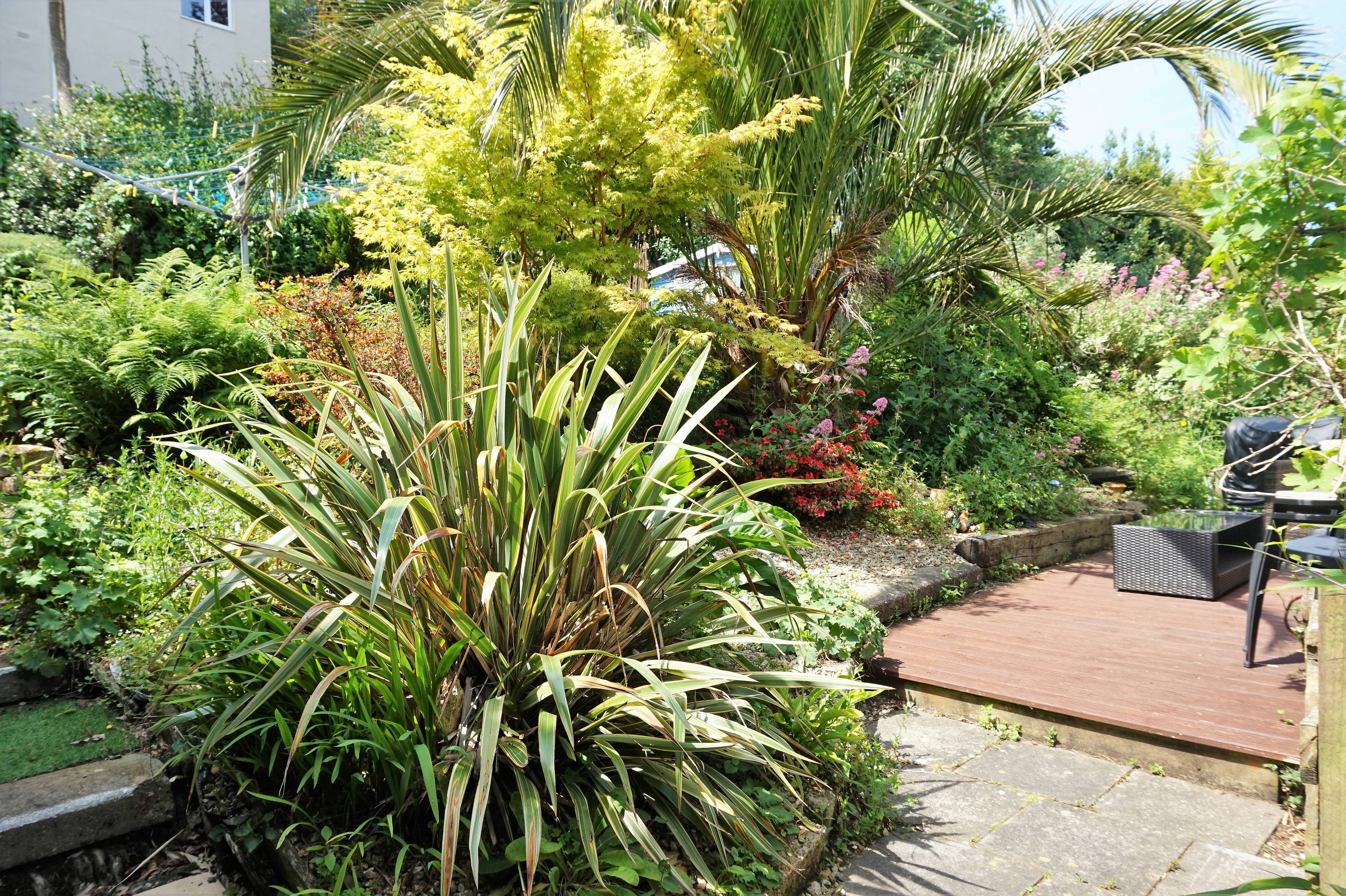 garden
