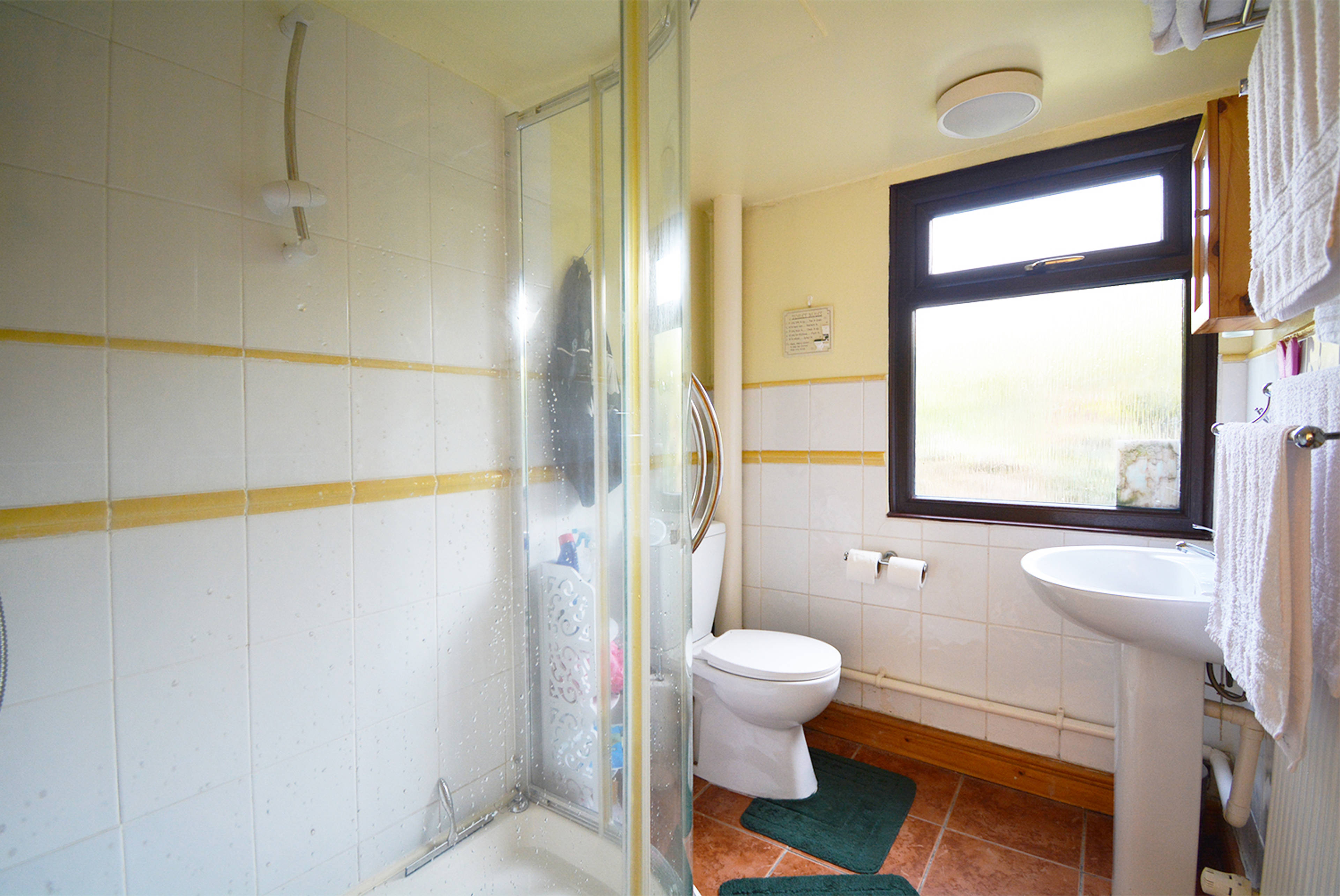 Annexe Shower Room
