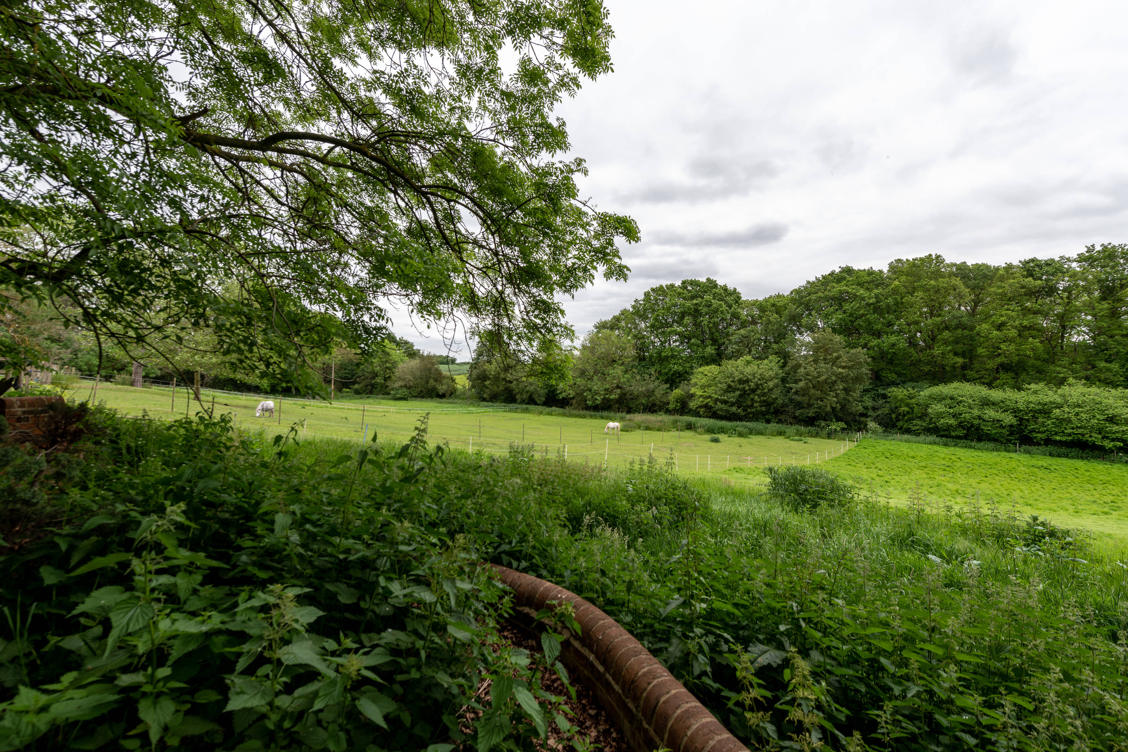 Land