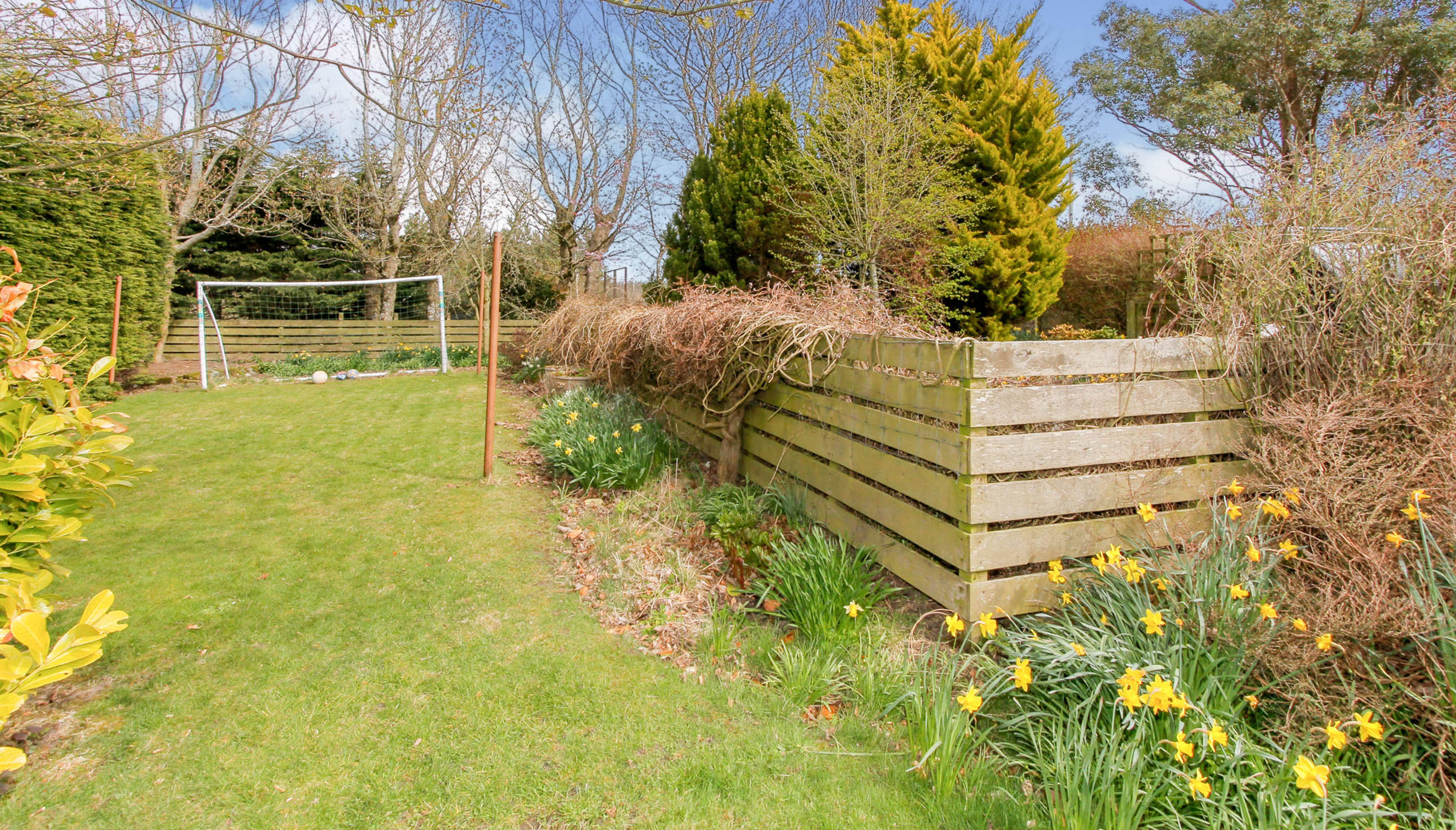 garden