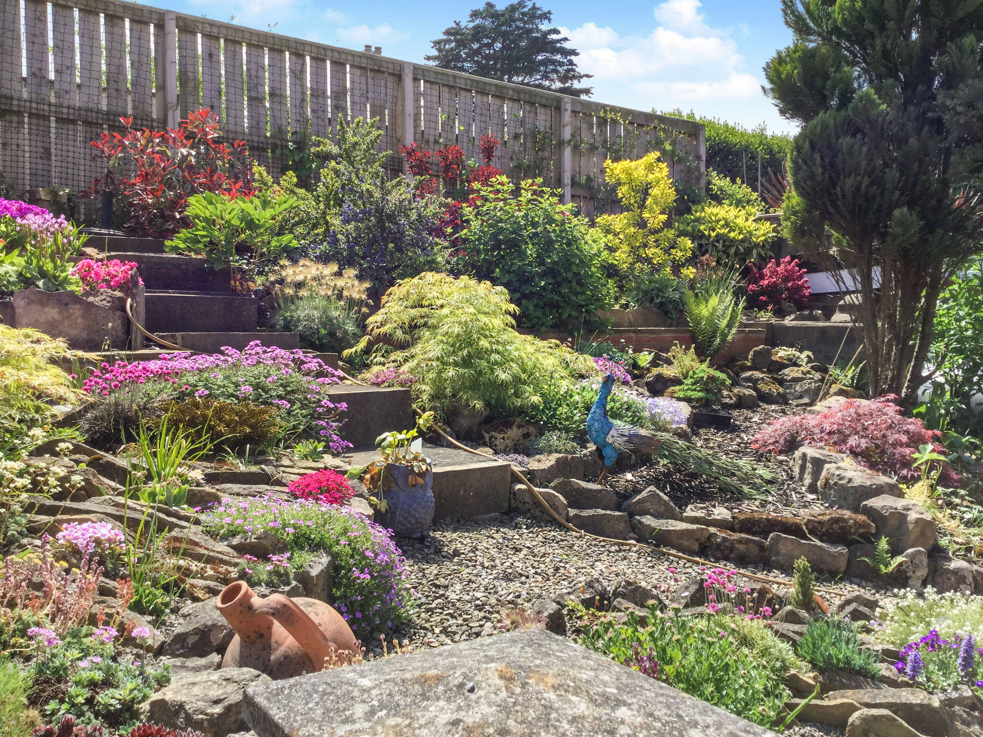 Mature Garden