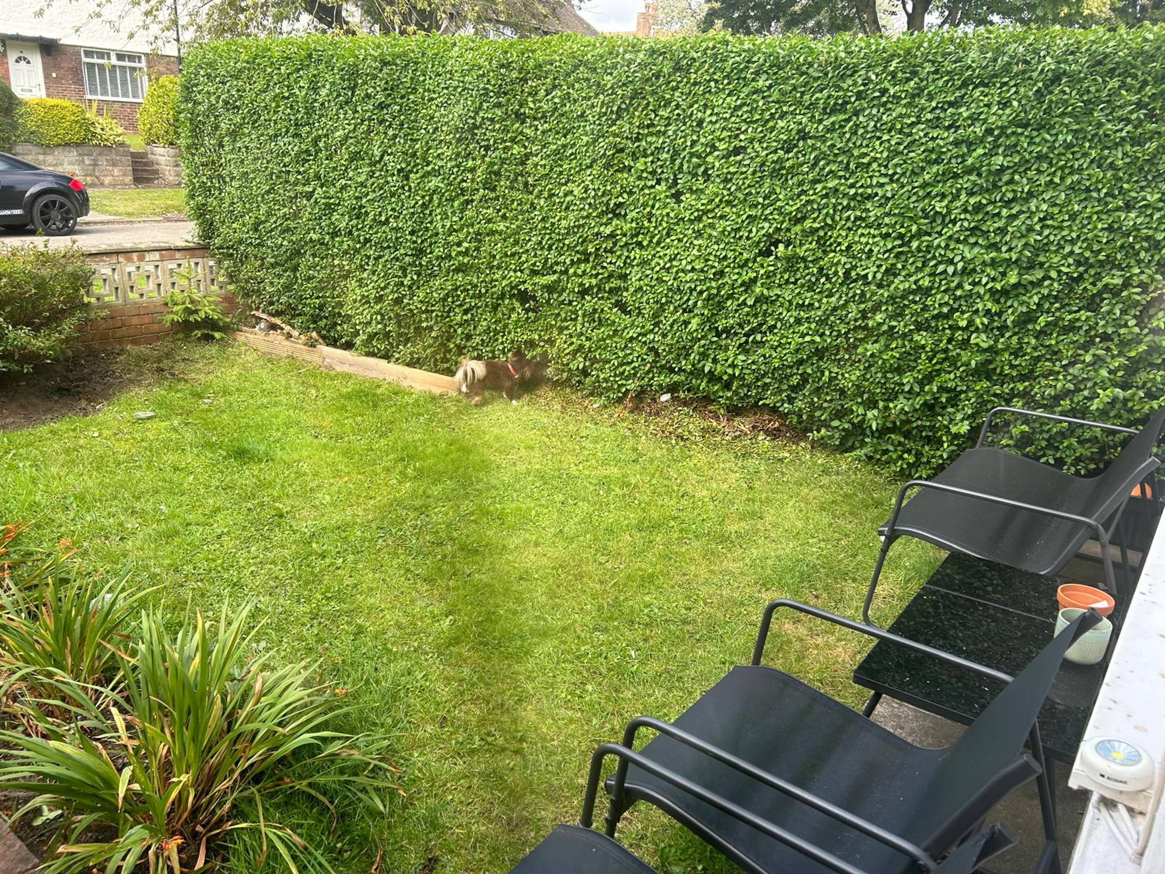 Front Garden