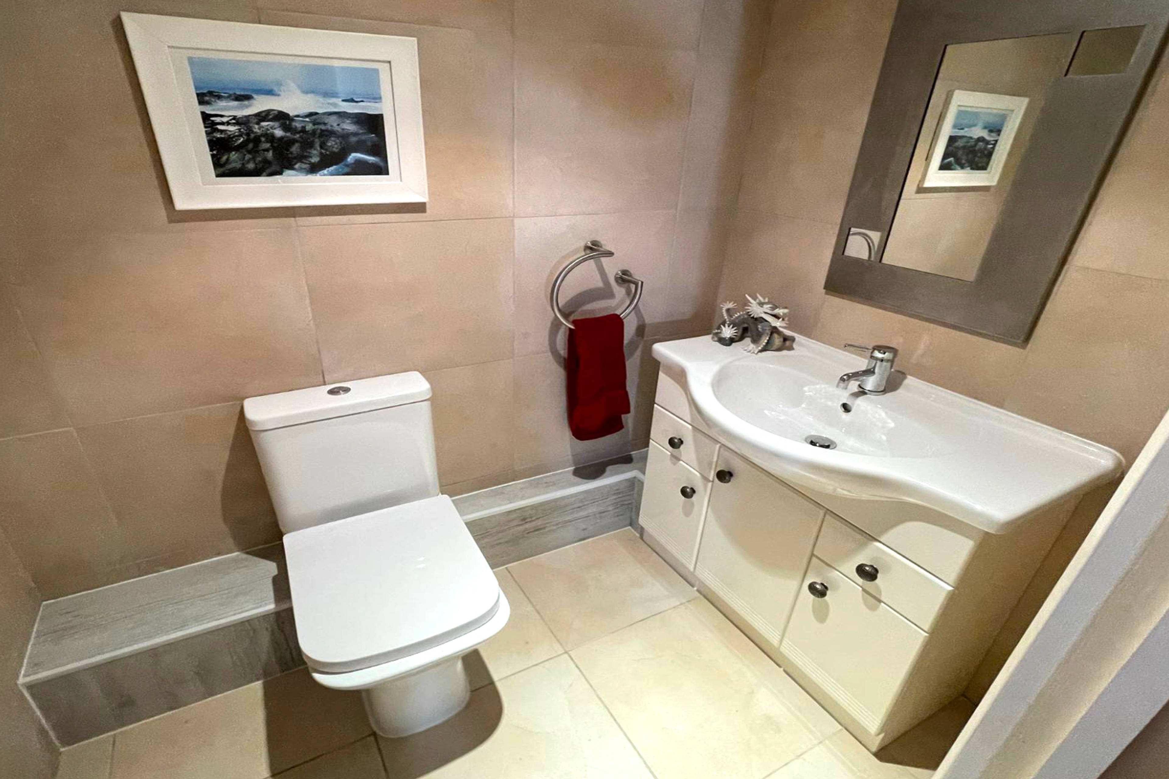 Downstairs Cloakroom