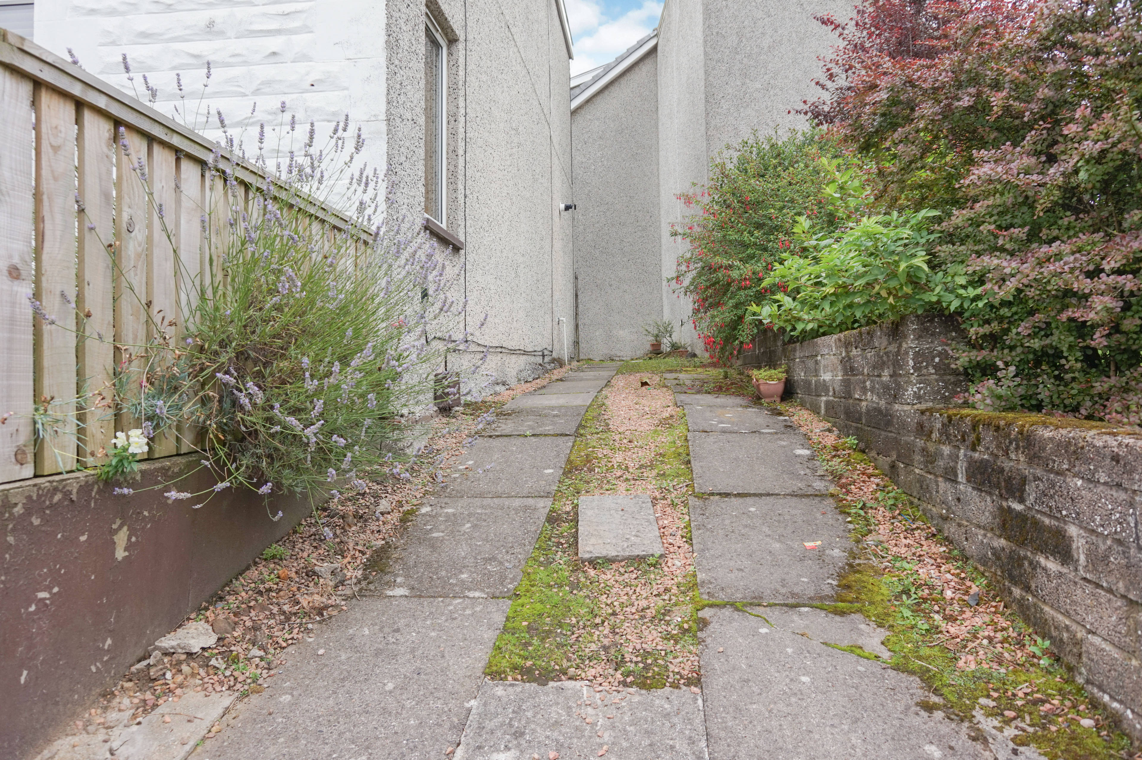 Driveway