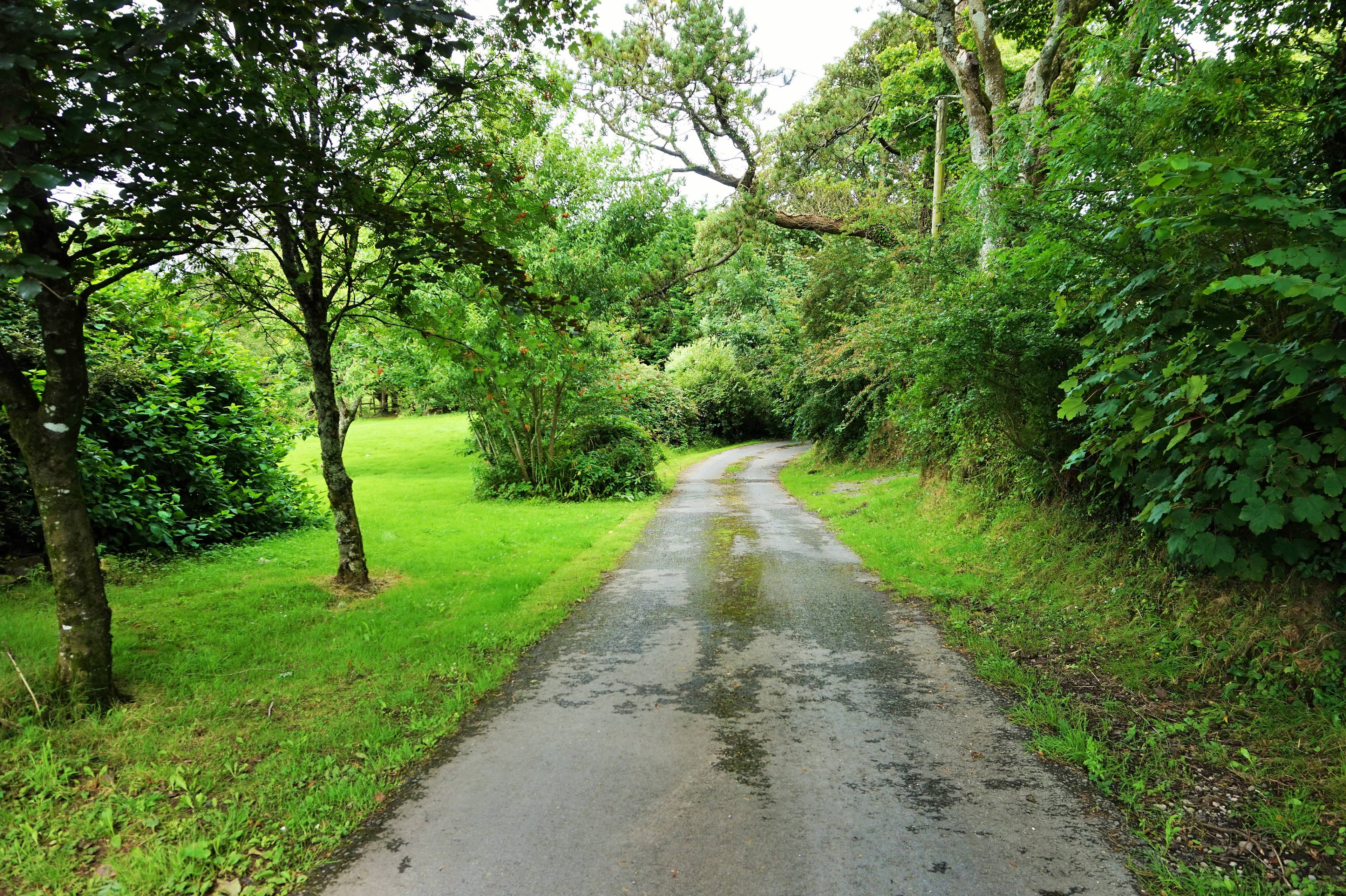 Driveway