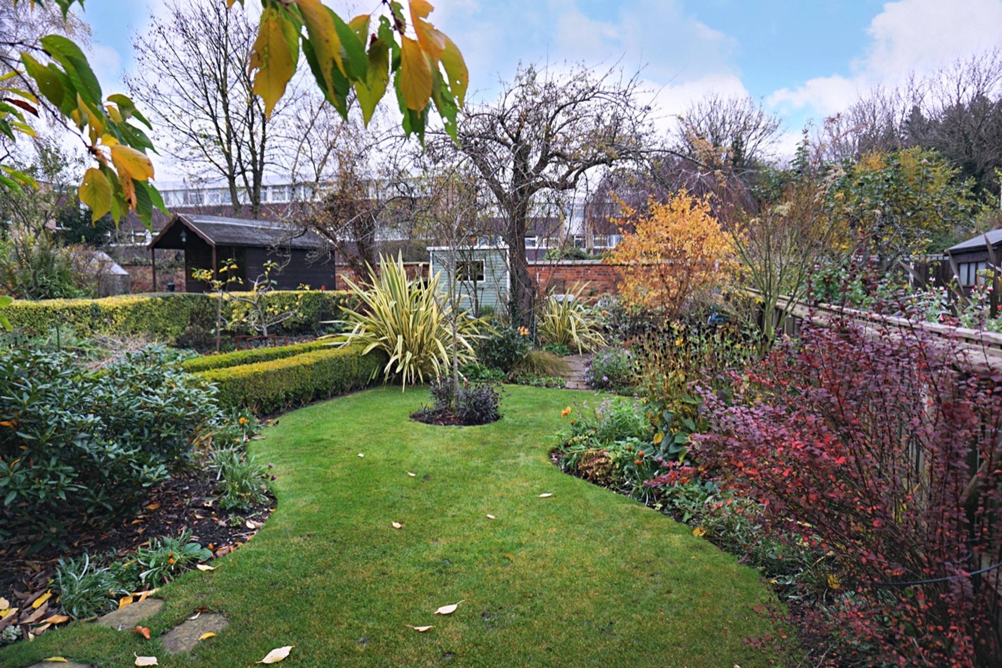 Garden